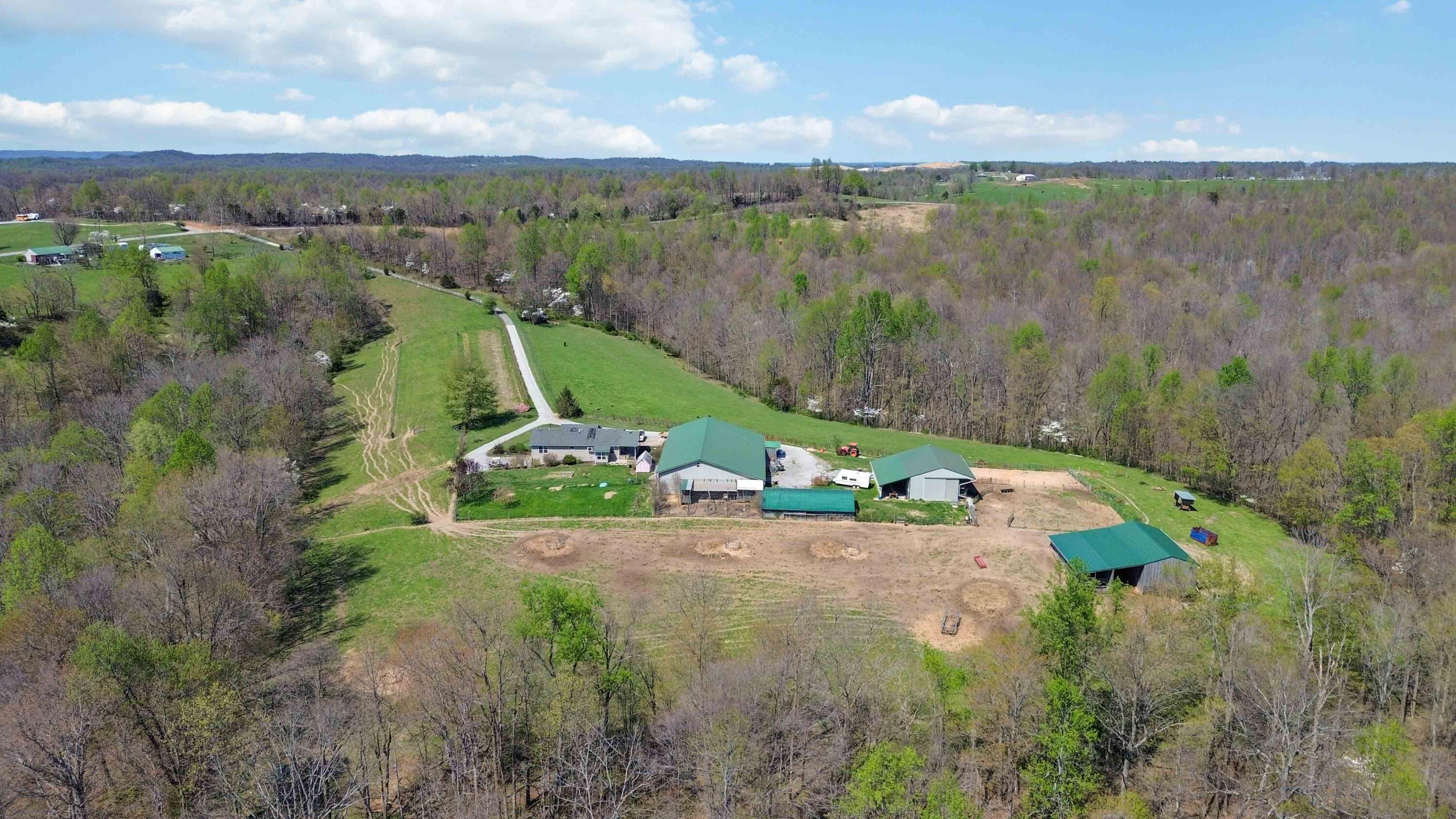 1461 Greasy Ridge Road Property Photo 7