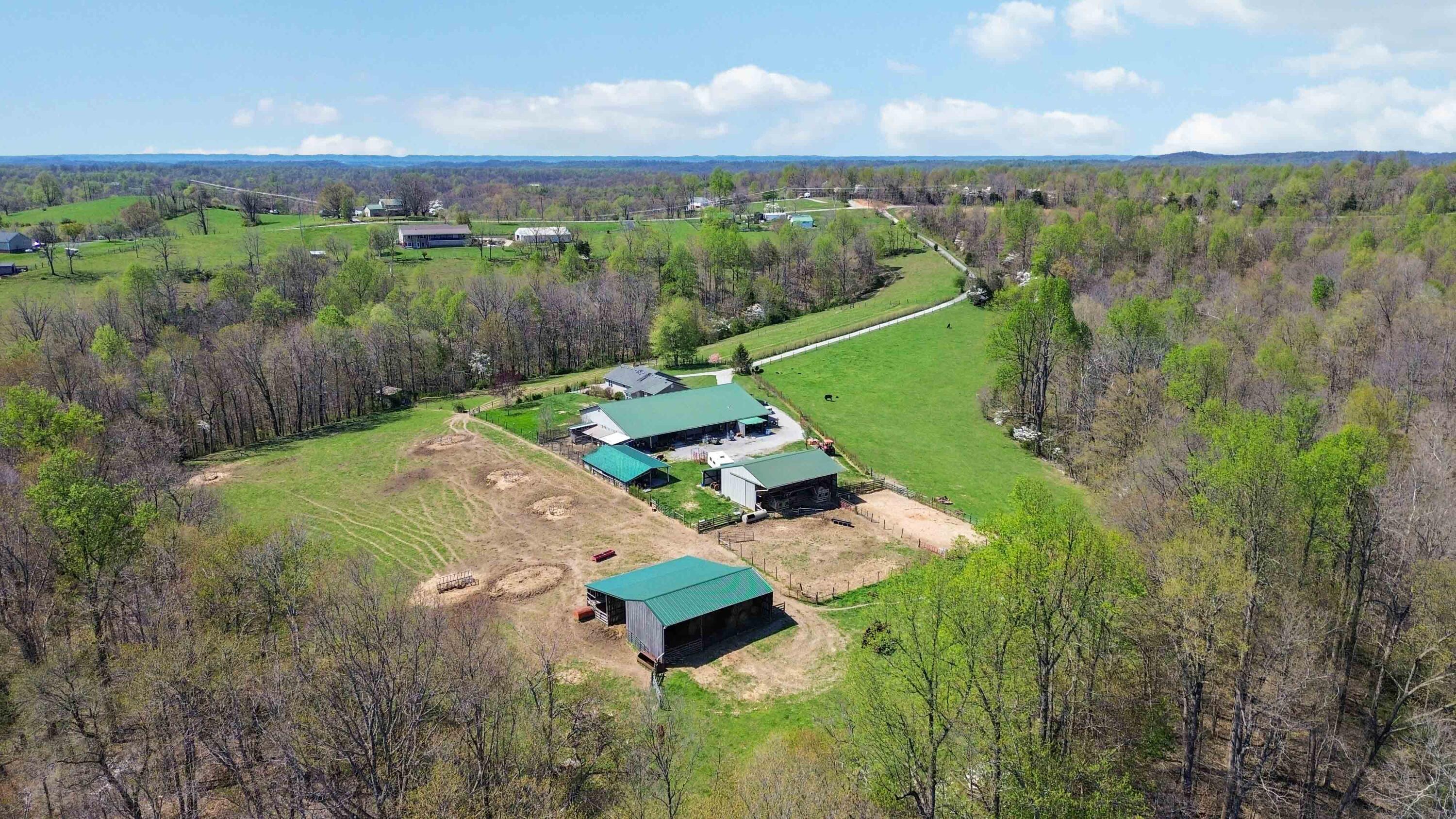 1461 Greasy Ridge Road Property Photo 8