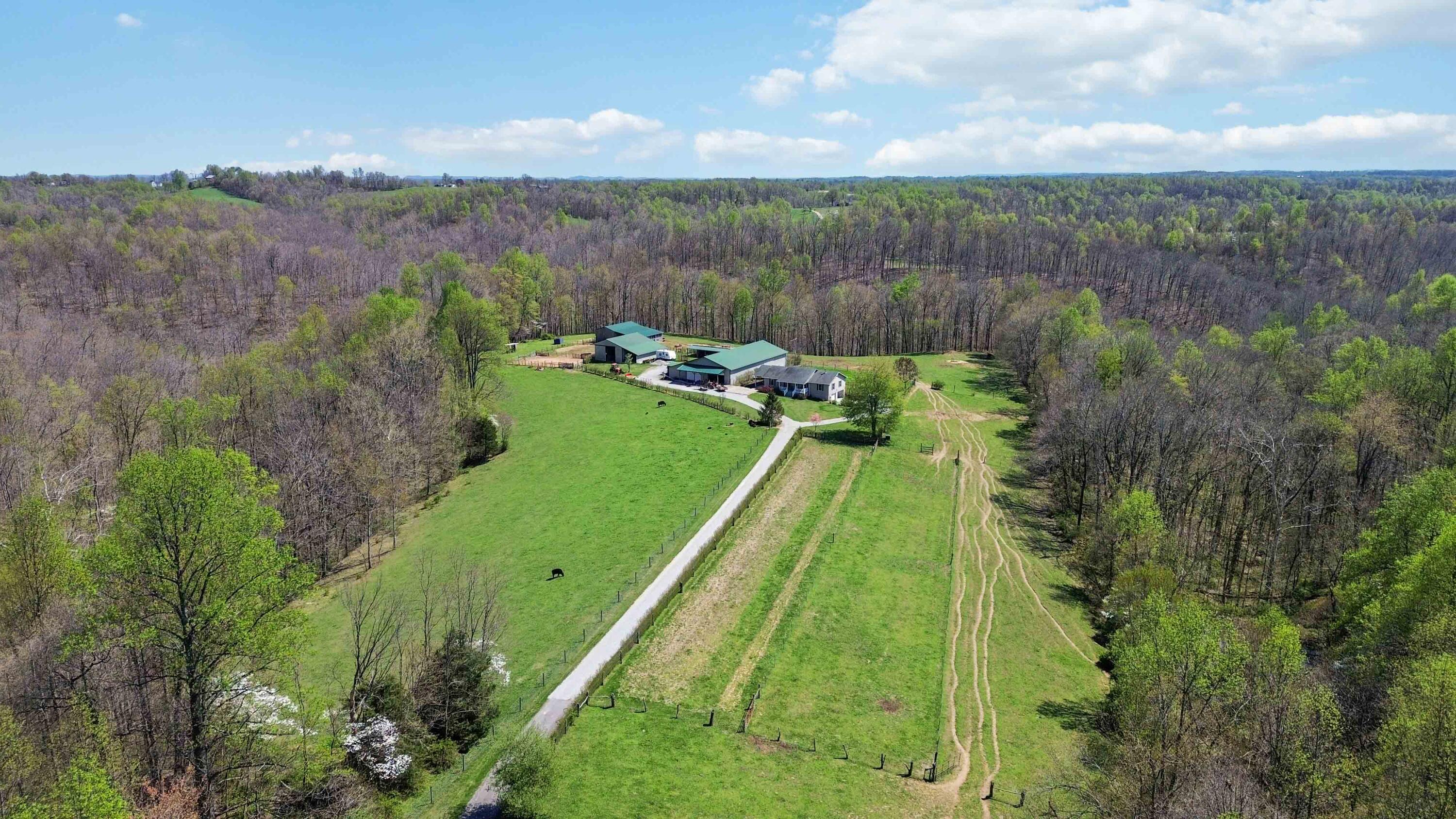 1461 Greasy Ridge Road Property Photo 9