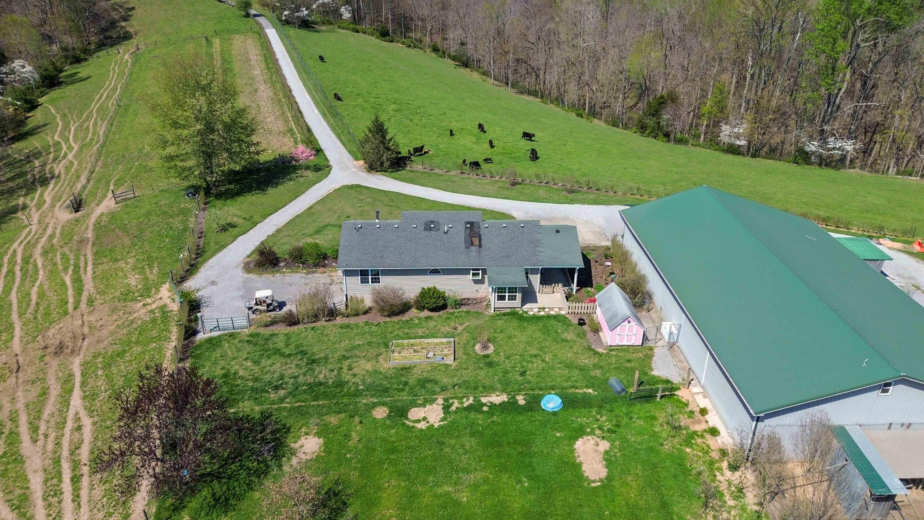 1461 Greasy Ridge Road Property Photo 37