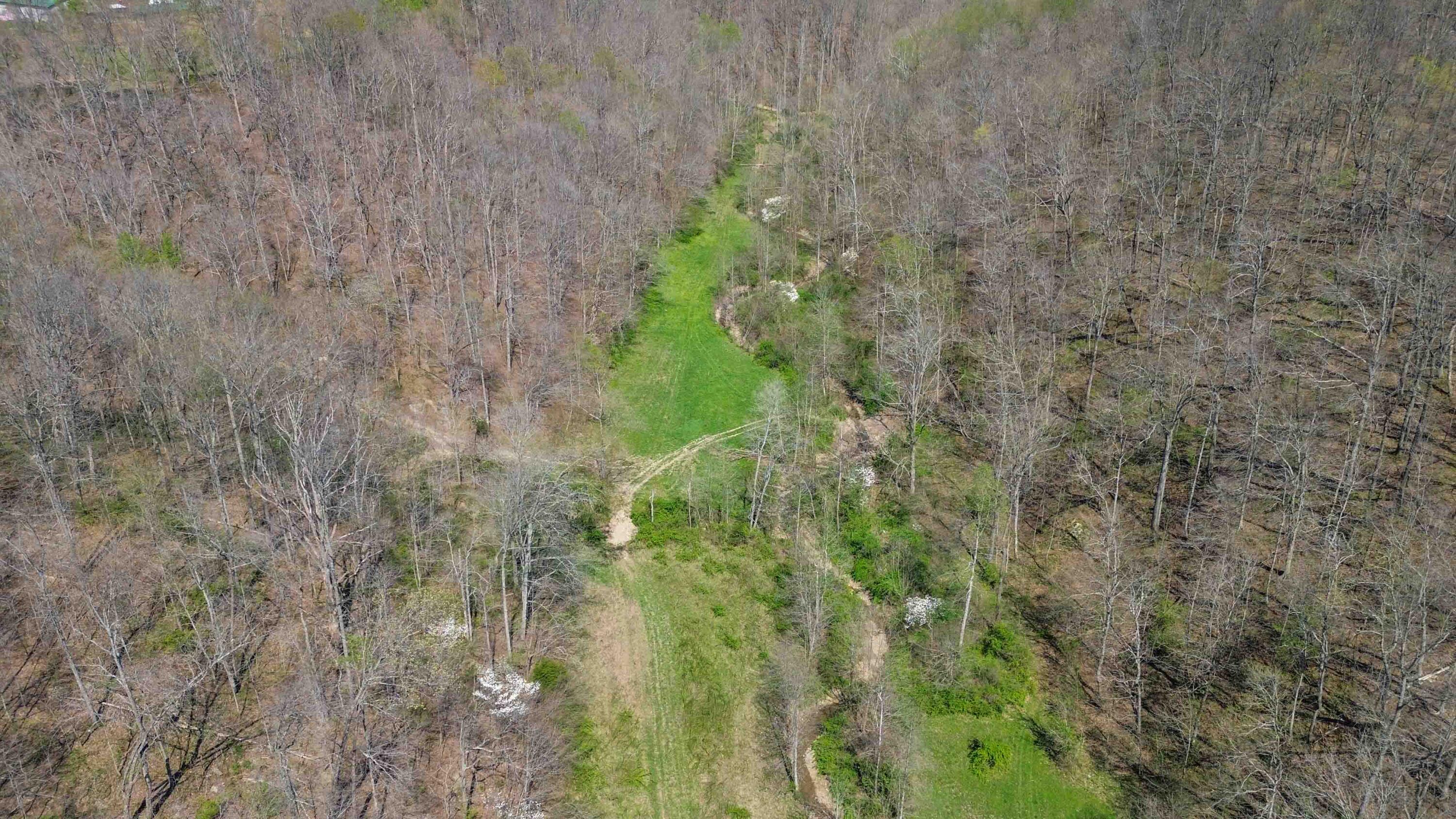 1461 Greasy Ridge Road Property Photo 39