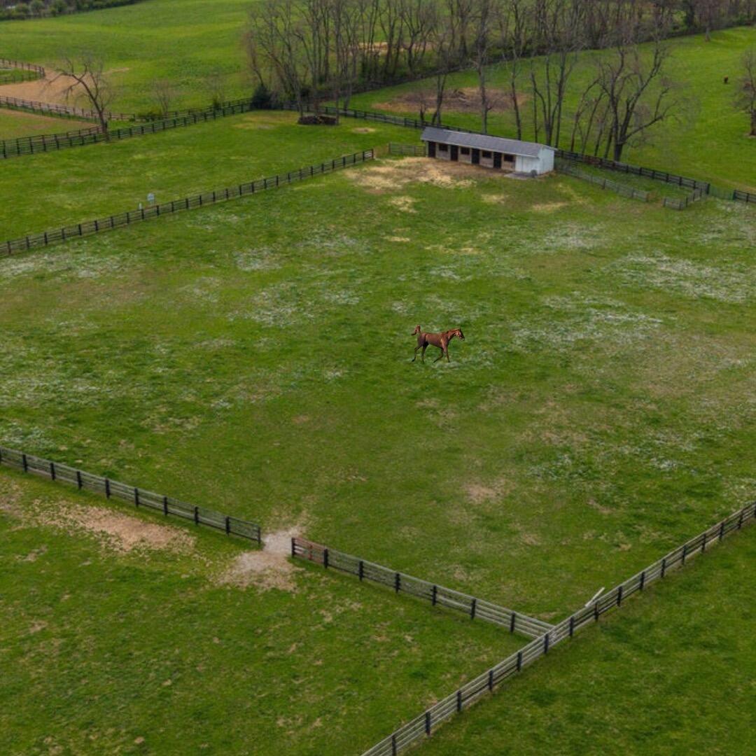 3600 Briar Hill Road Property Photo 89