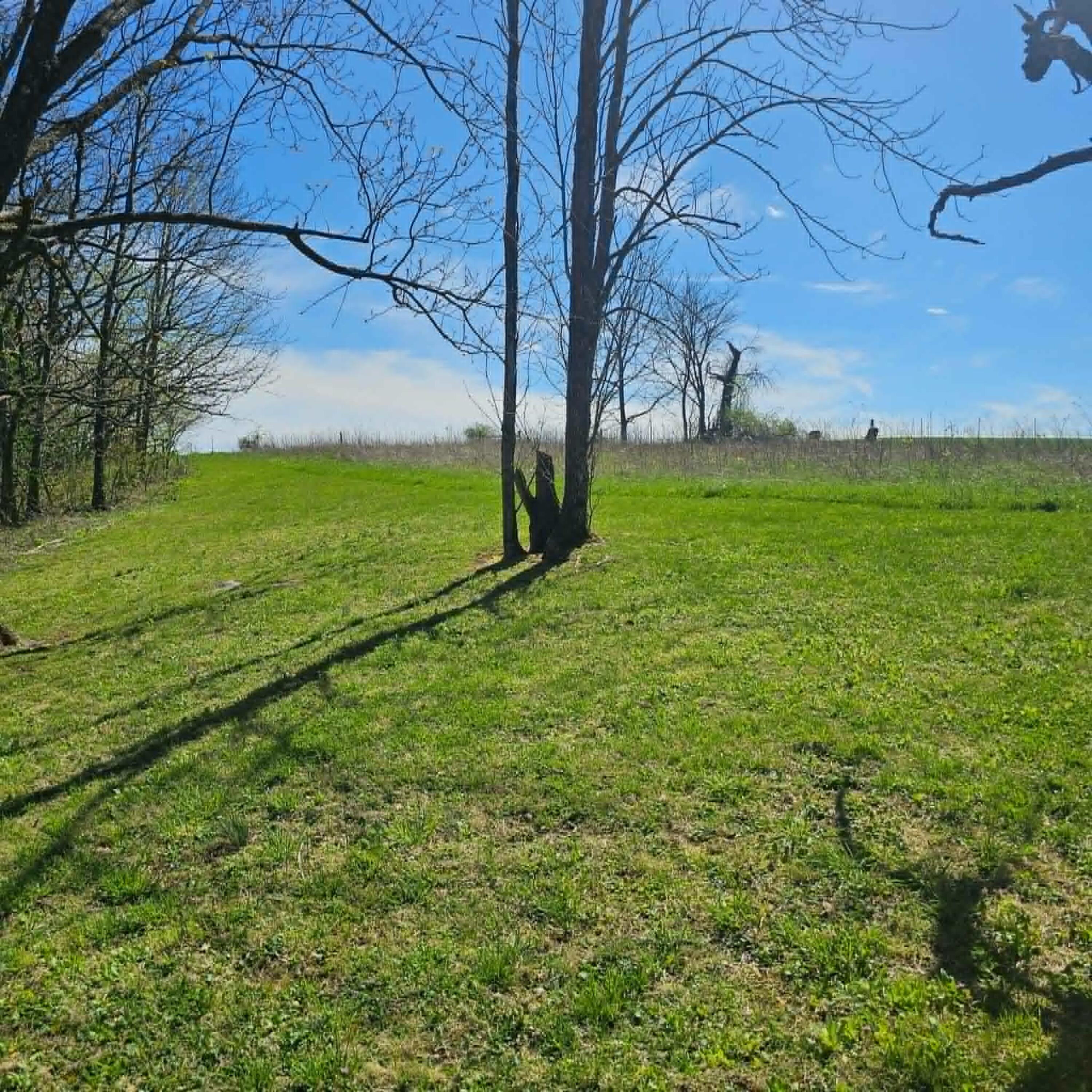 127 Faubush-norfleet Road Property Photo 26