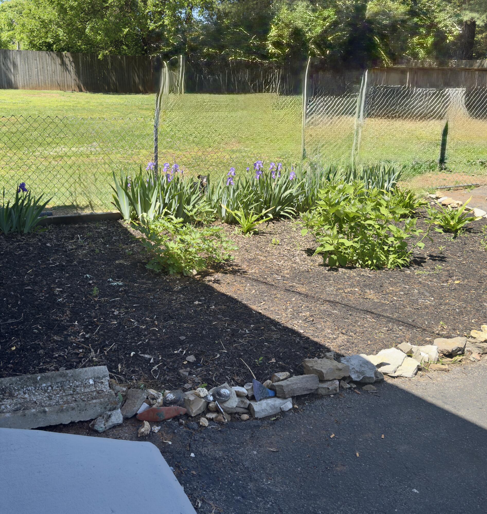 202 Willa Drive Property Photo 6