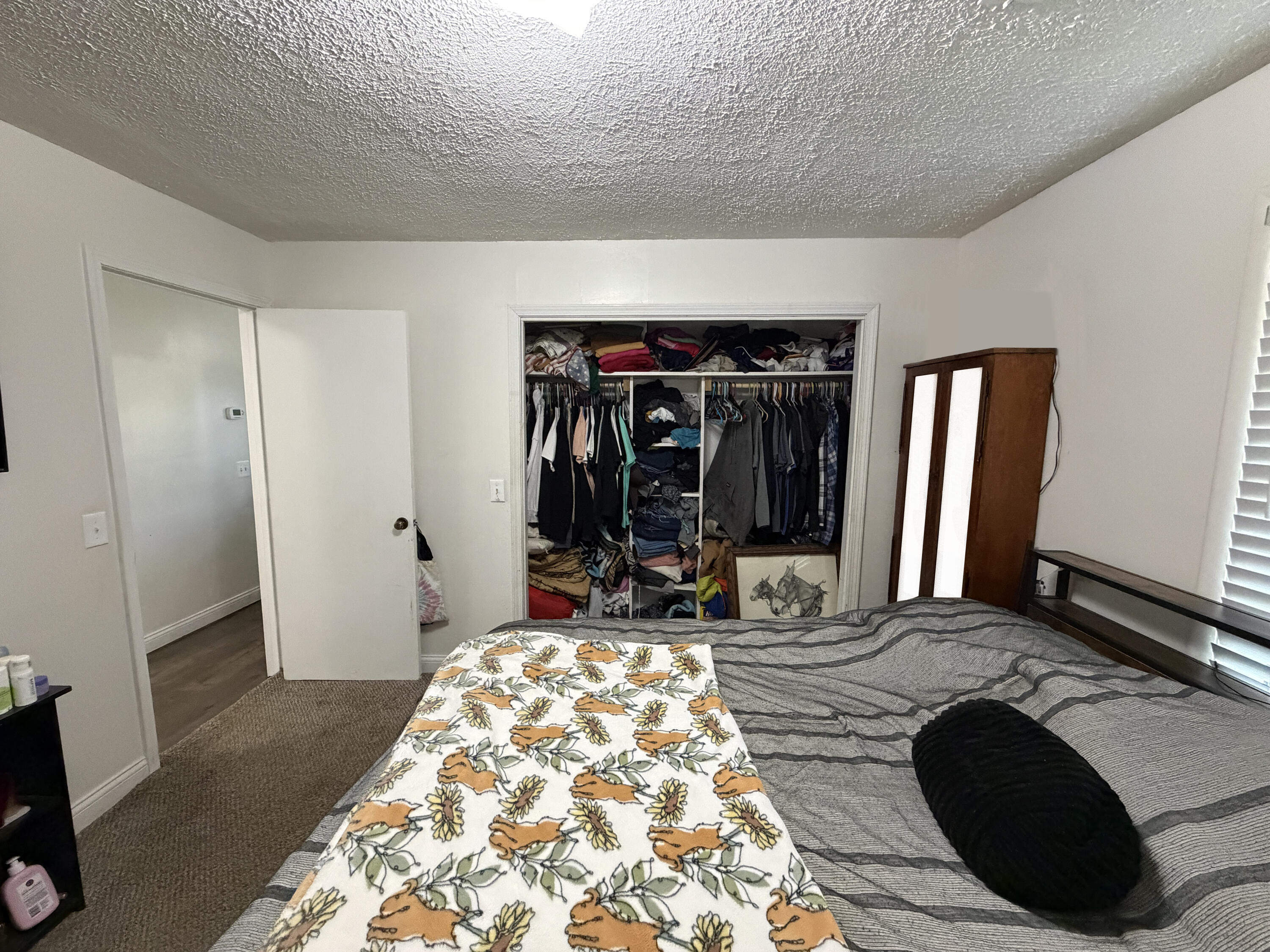 202 Willa Drive Property Photo 22