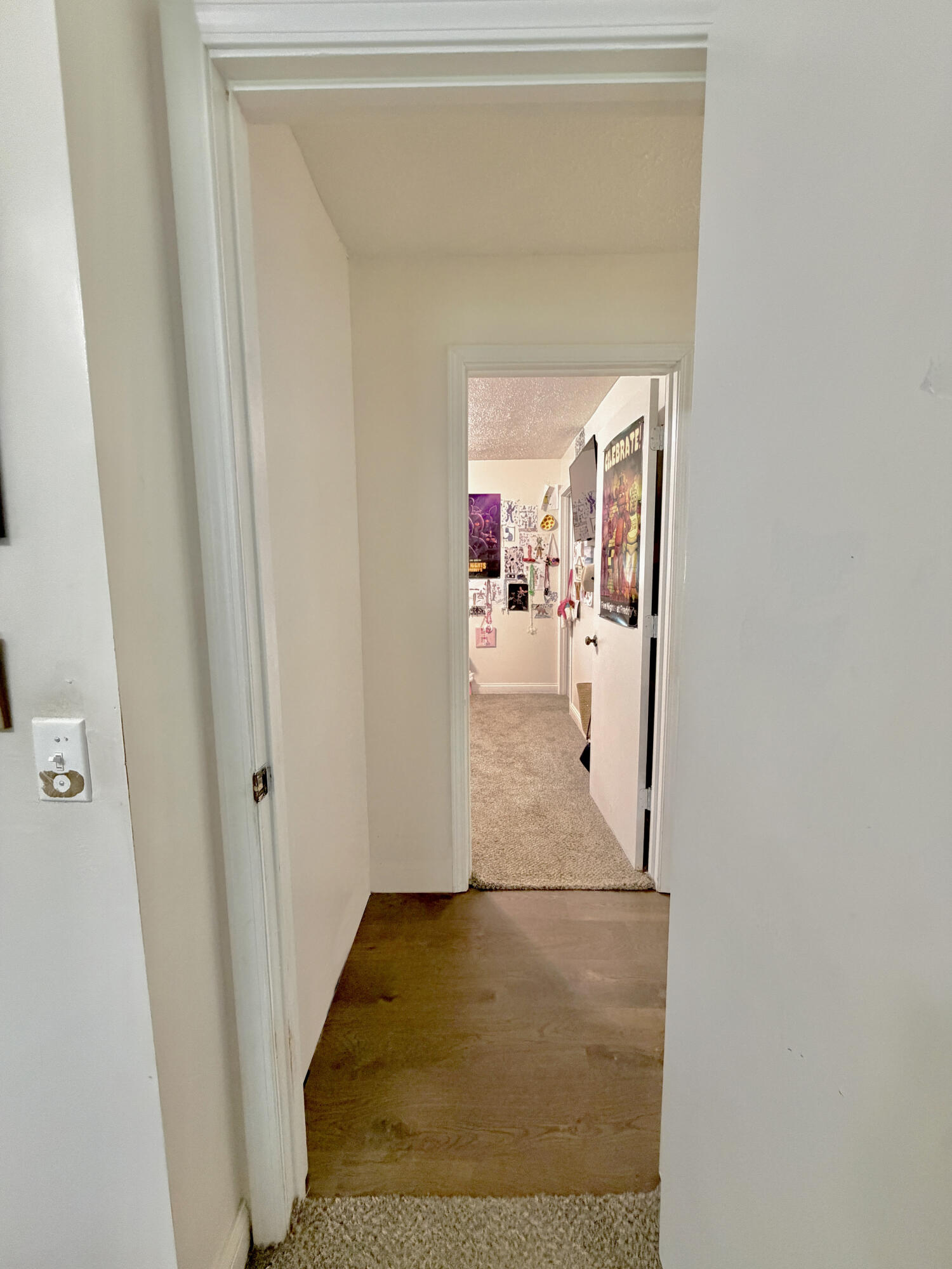 202 Willa Drive Property Photo 28