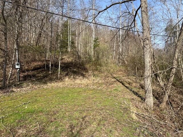 326 Earl Crisp Road Property Photo 6