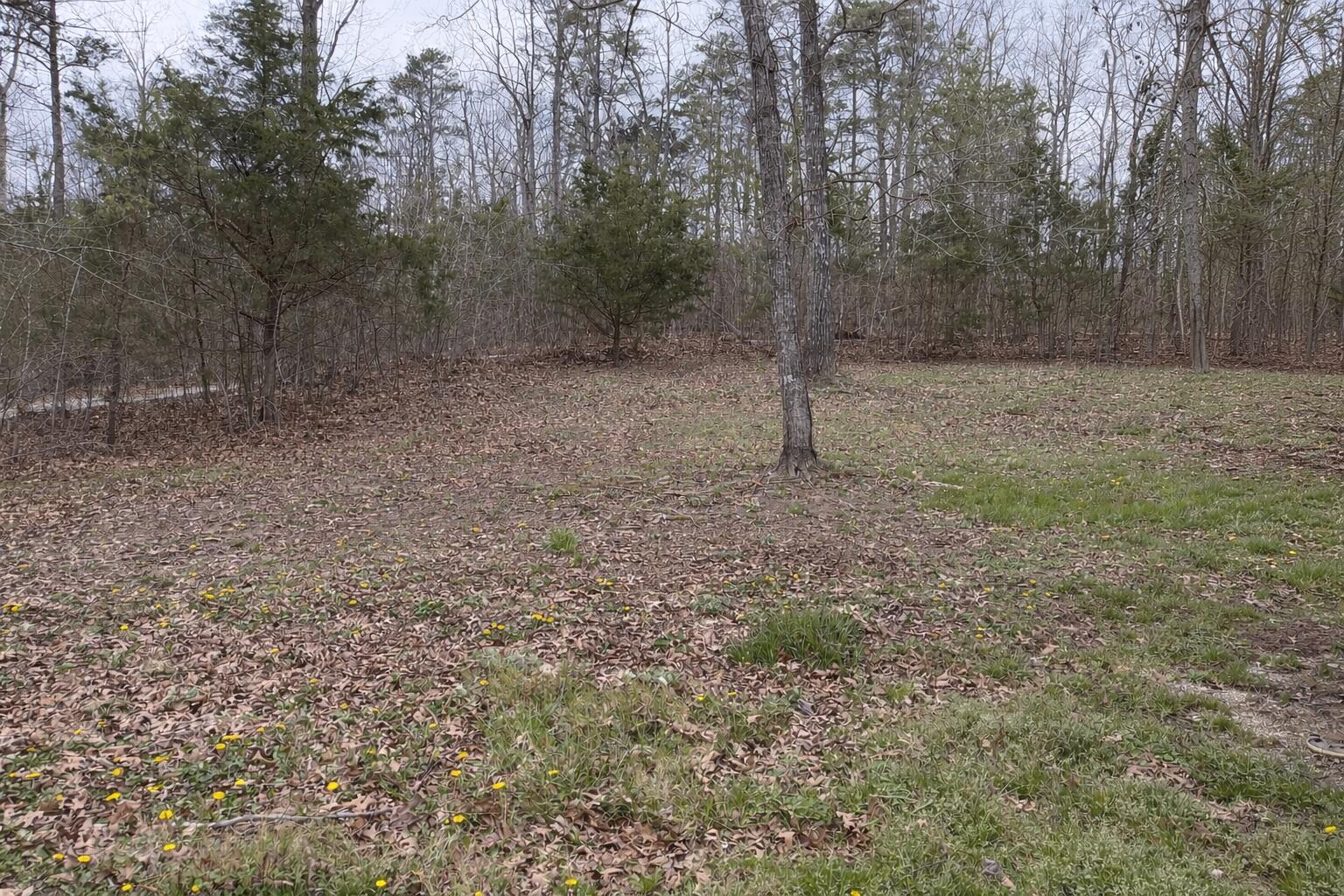 228 Griffin Hill Road Property Photo 1