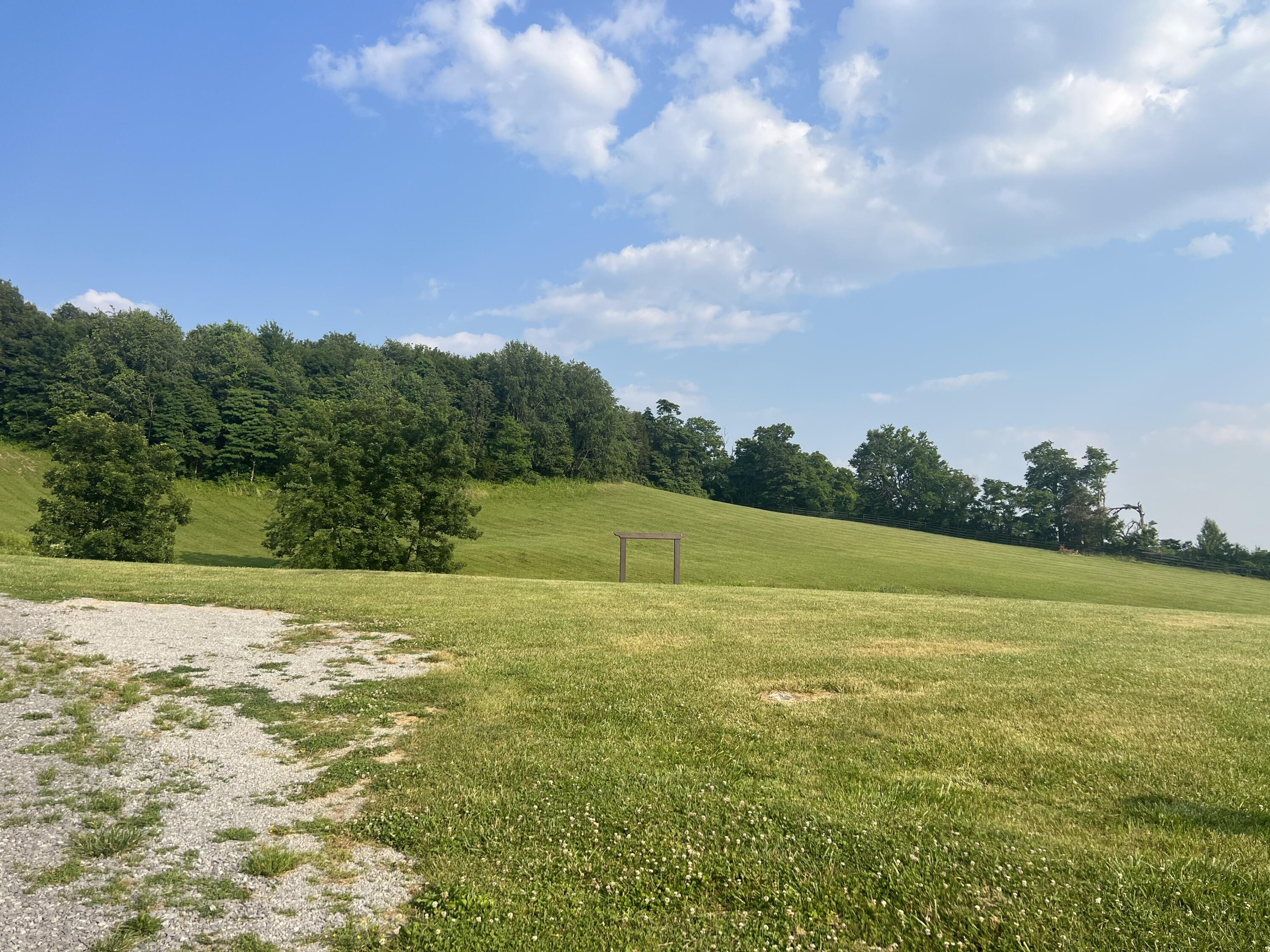 54 Burdette Knob Road Property Photo 35