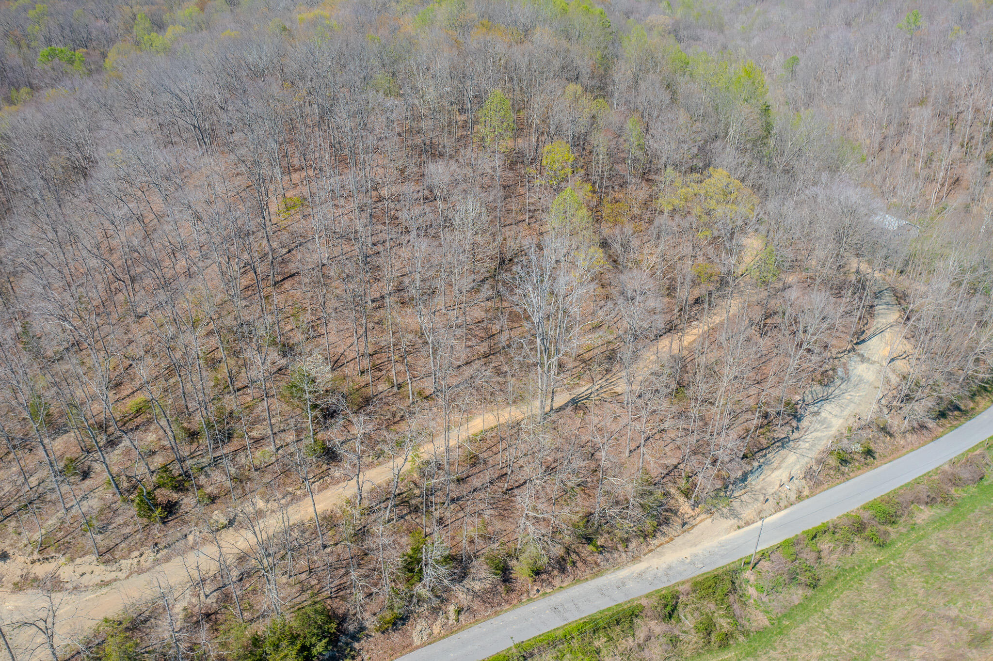 1749 Rouse Branch Road Property Photo 3