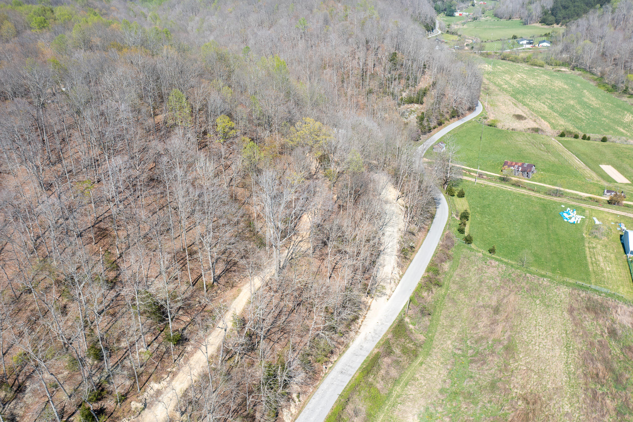 1749 Rouse Branch Road Property Photo 4