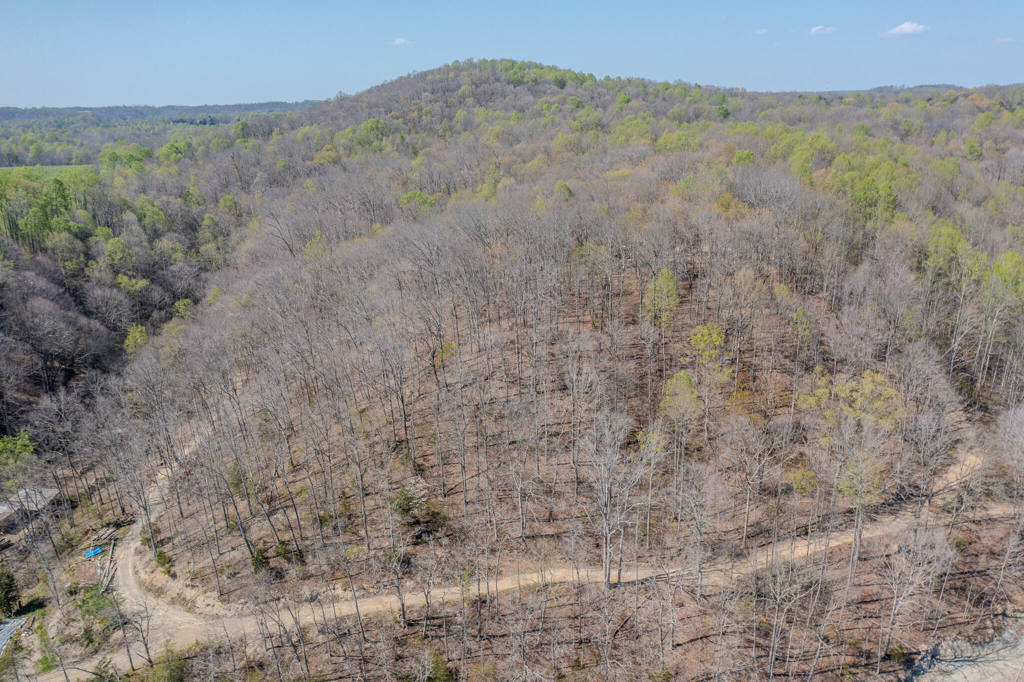 1749 Rouse Branch Road Property Photo 5