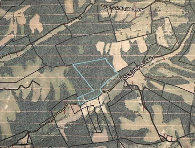 1749 Rouse Branch Road Property Photo 7