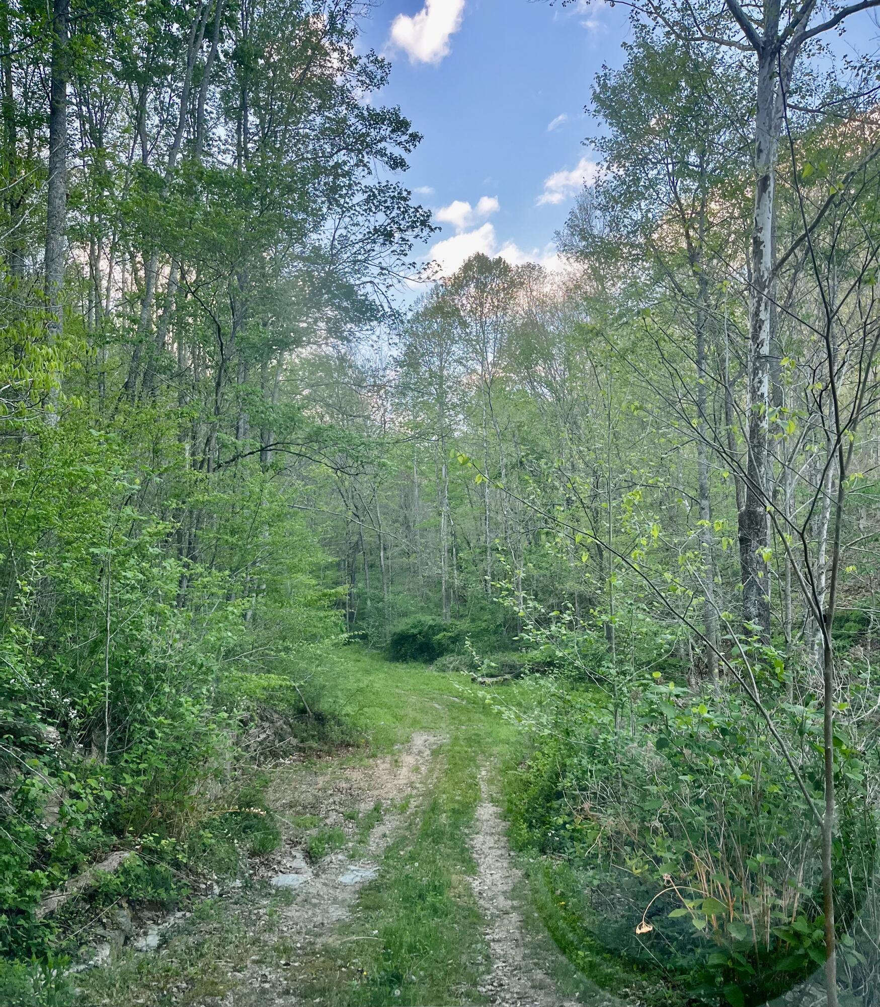 1749 Rouse Branch Road Property Photo 11