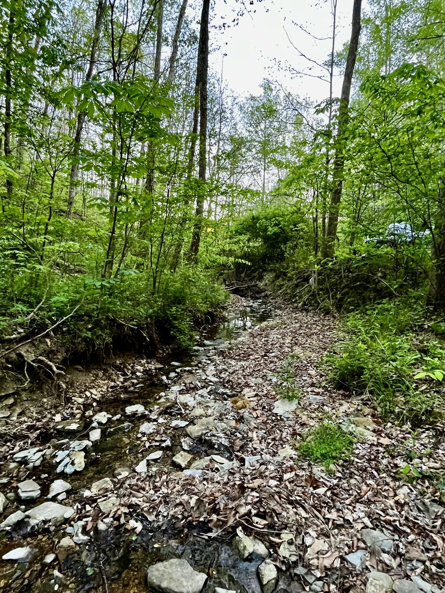 1749 Rouse Branch Road Property Photo 14