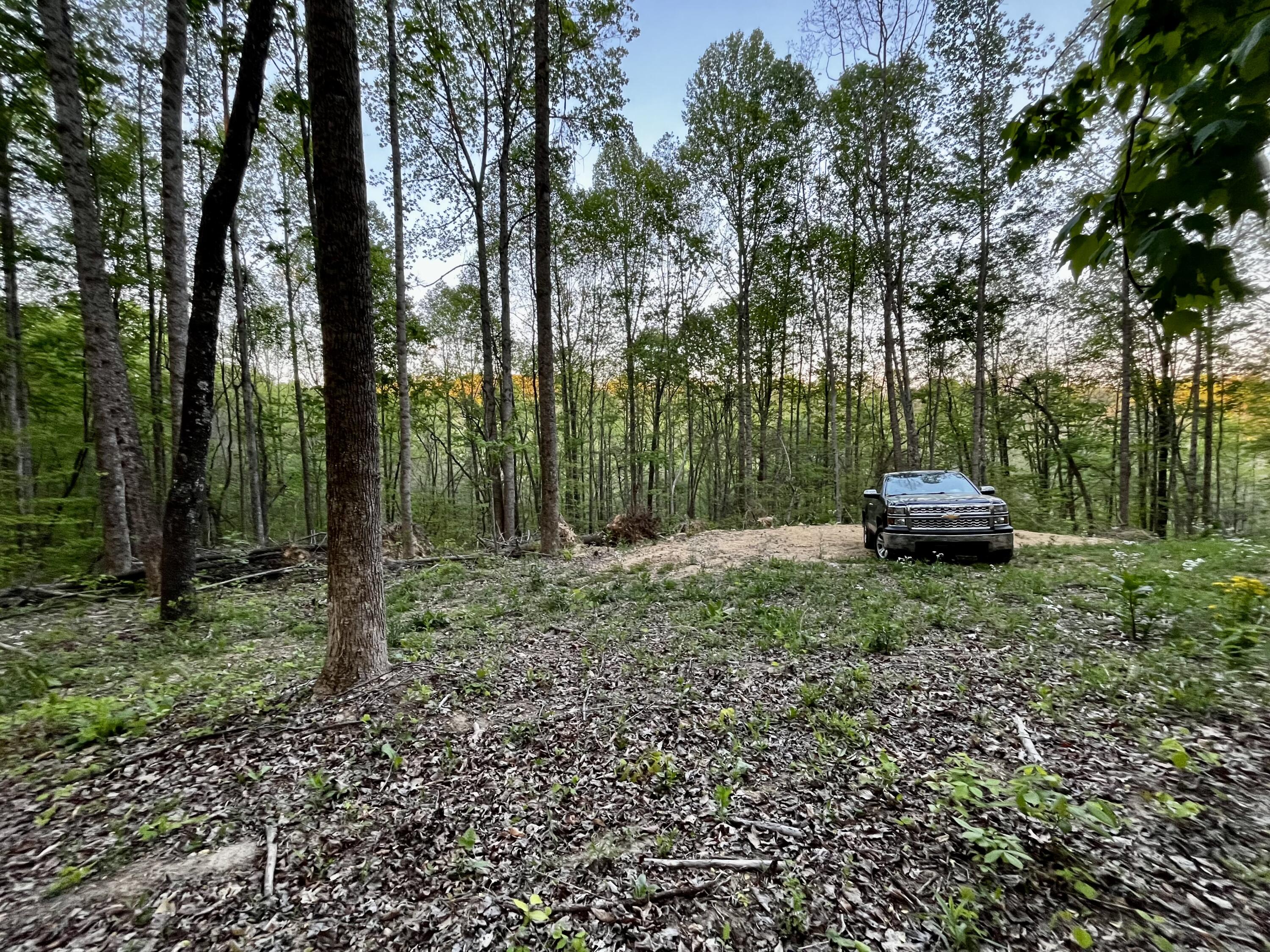 1749 Rouse Branch Road Property Photo 18