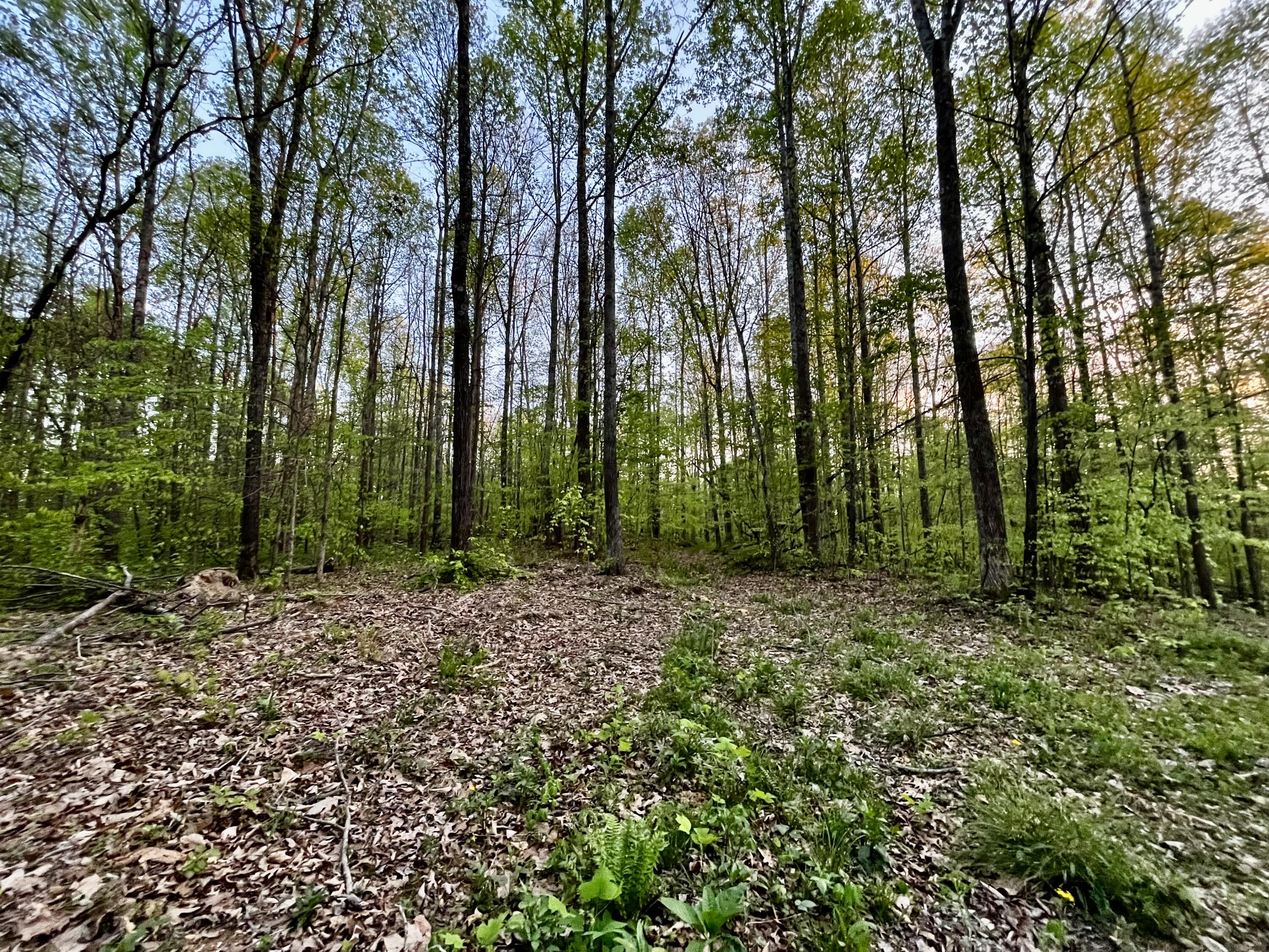 1749 Rouse Branch Road Property Photo 21