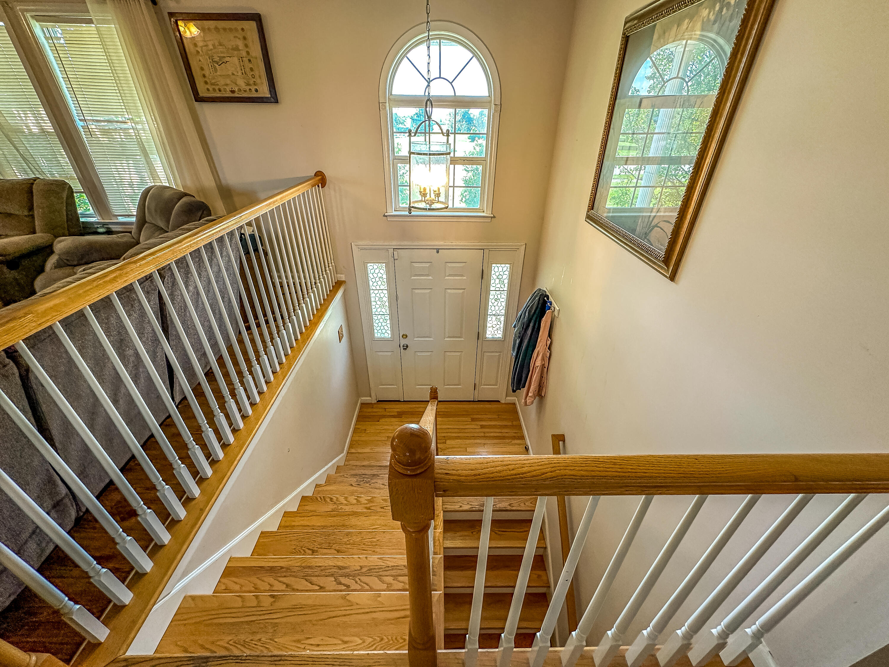204 Saddle Brook Court Property Photo 10