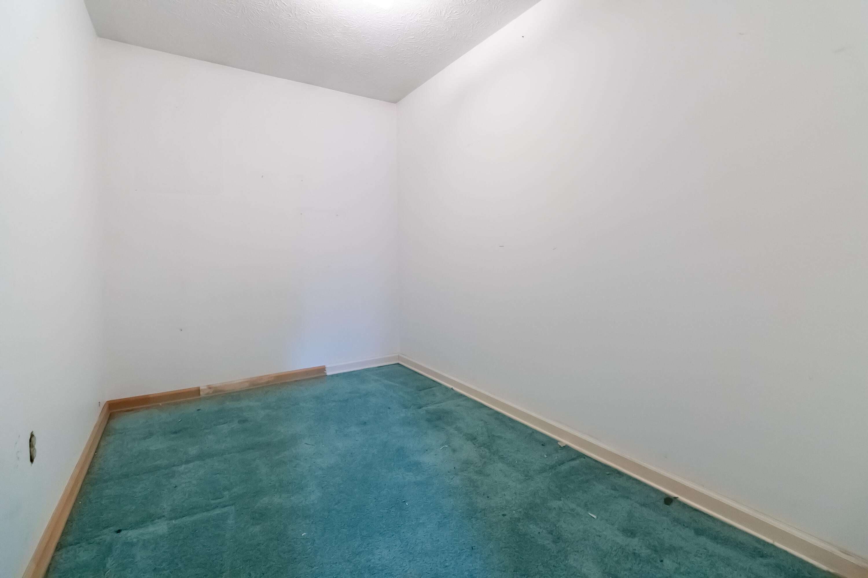 85 Walnut Street Property Photo 5