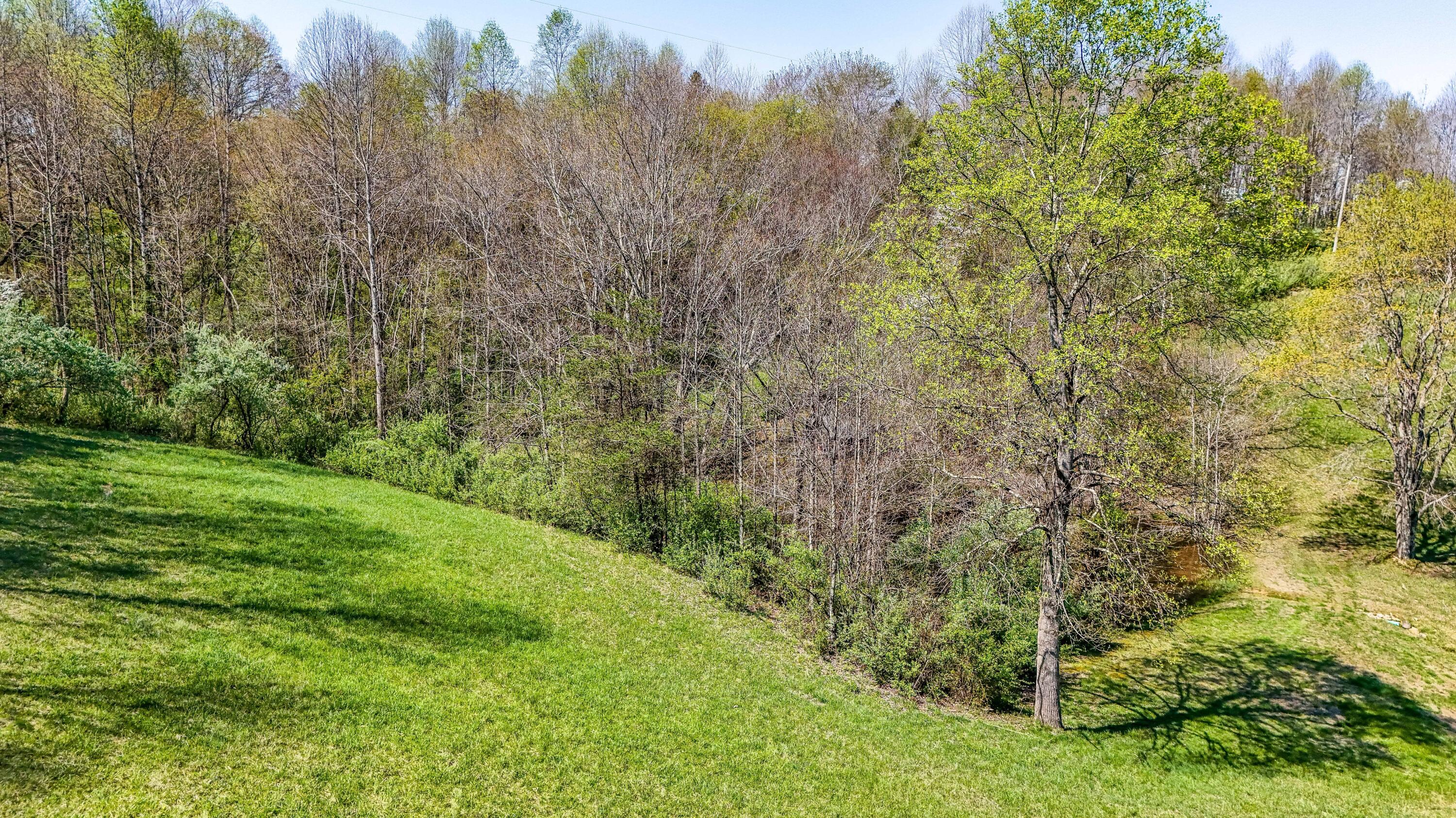 451 Walnut Grove Road Property Photo 9