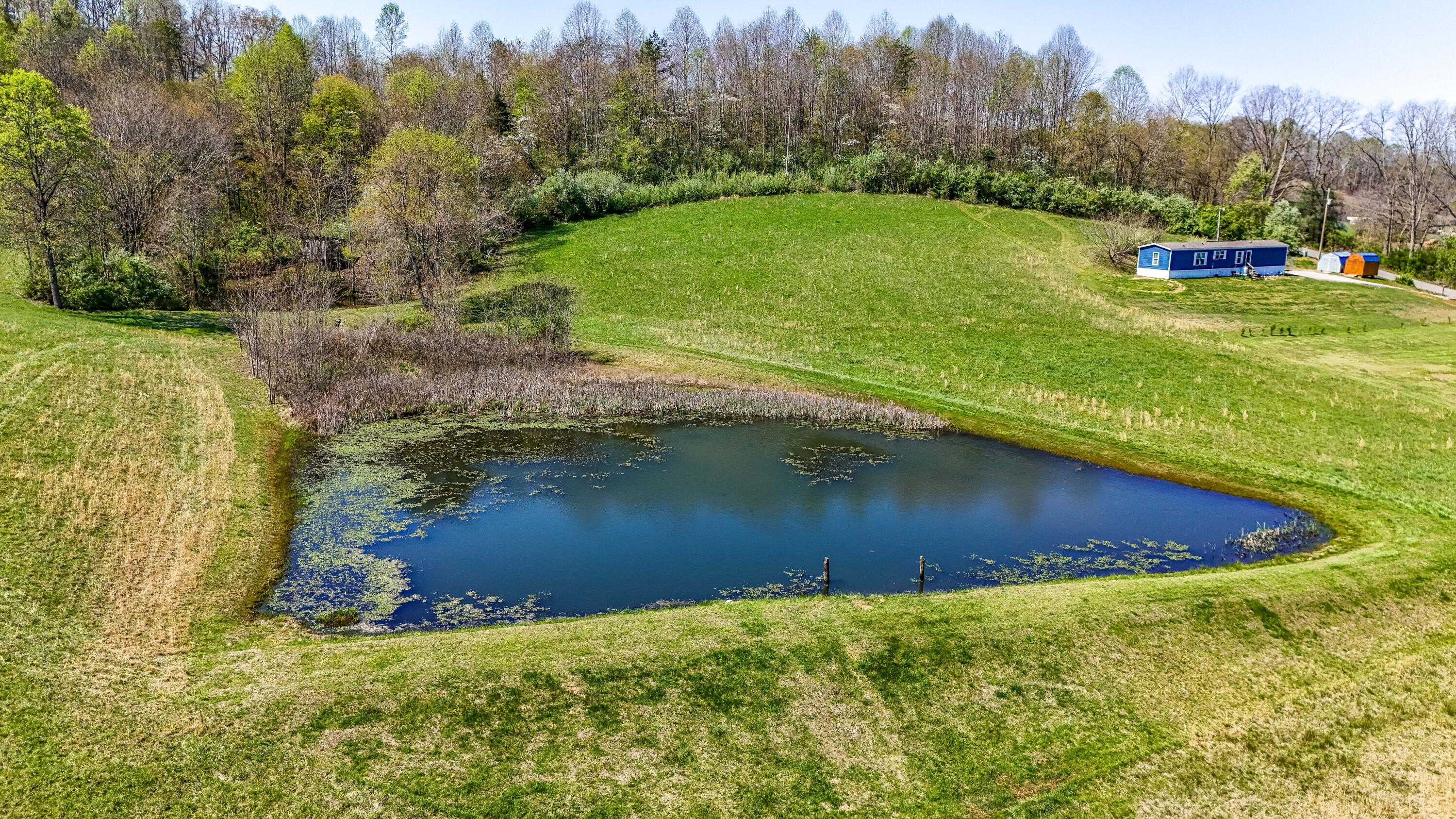 451 Walnut Grove Road Property Photo 10