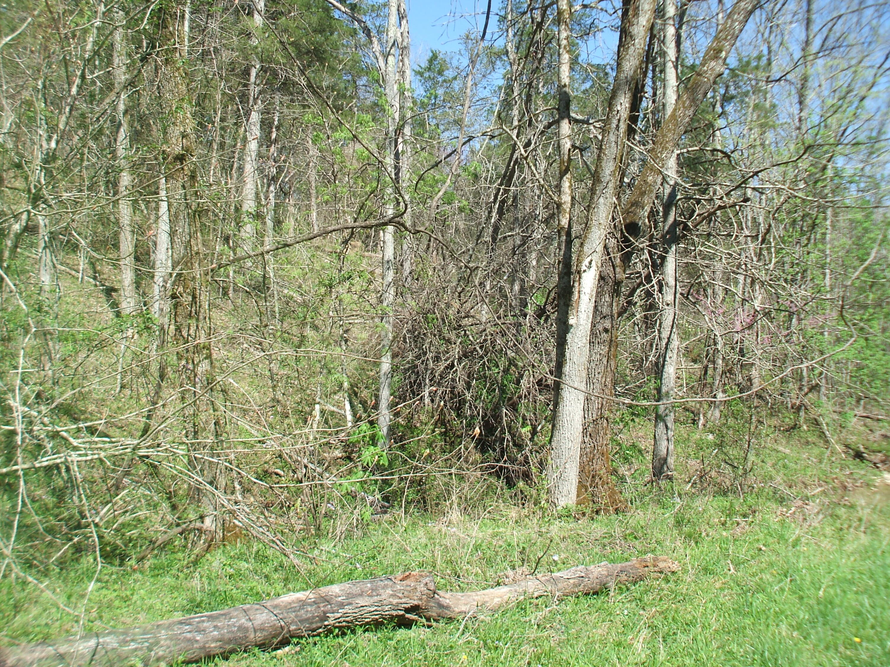 4000 W Bardstown Road Property Photo 4