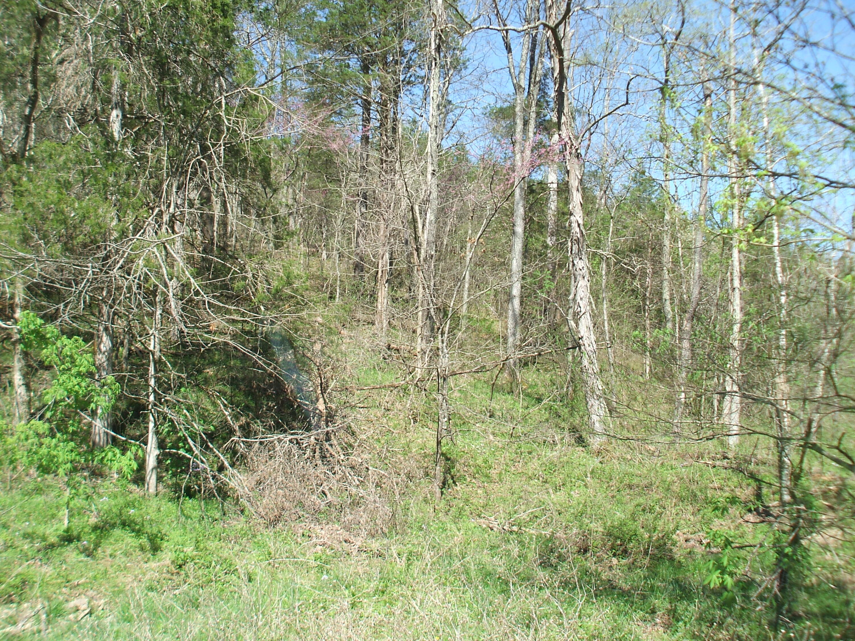 4000 W Bardstown Road Property Photo 6
