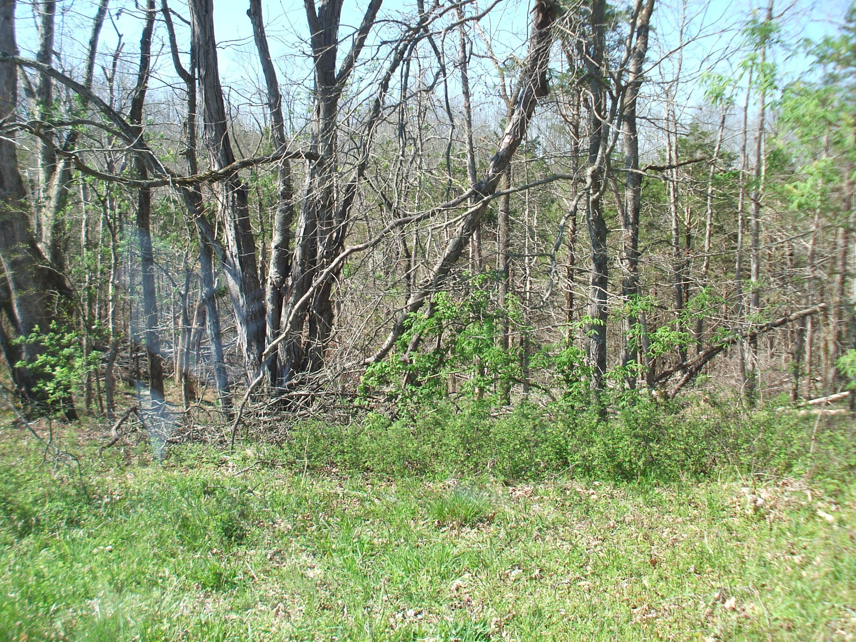 4000 W Bardstown Road Property Photo 8