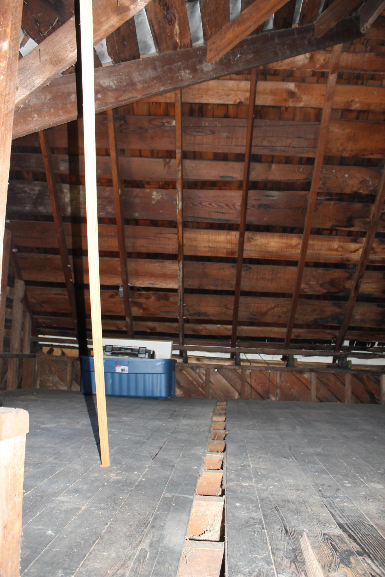 101 Alabama Street Property Photo 53