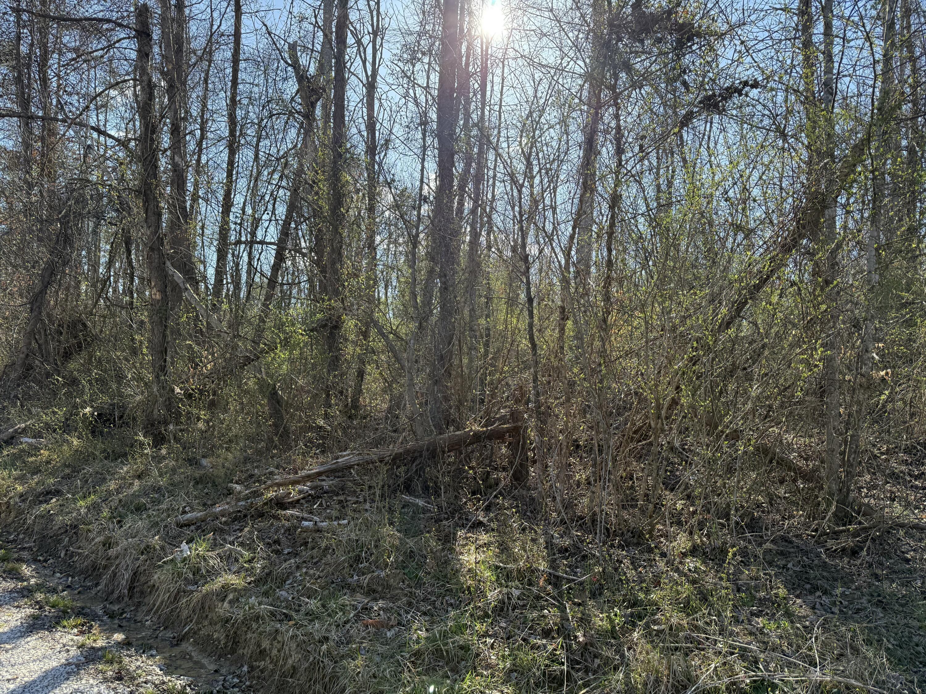 0 Tbd Trail Pines/edge Lane Property Photo 6