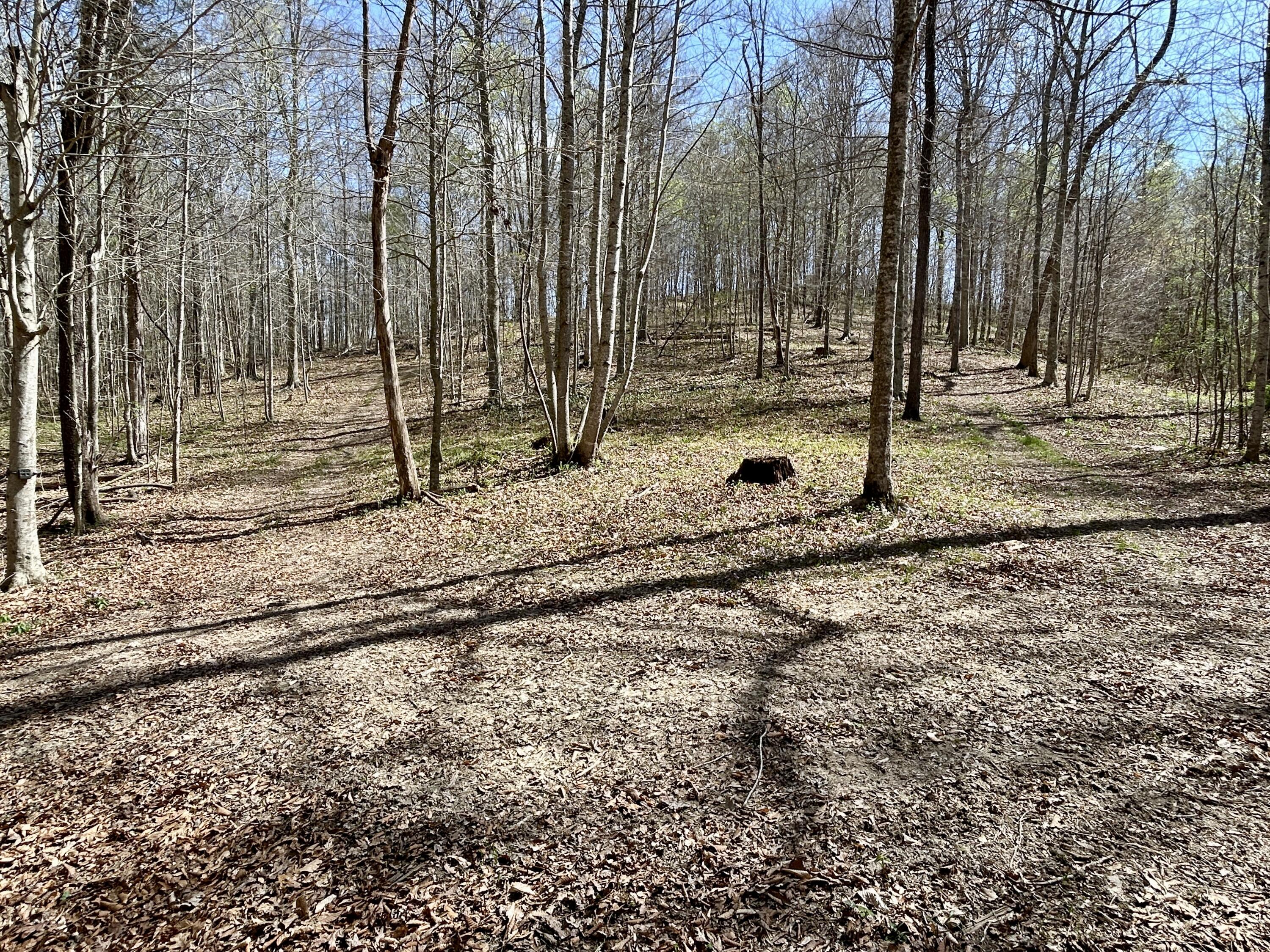 808 Goldenberg Lane Property Photo 111
