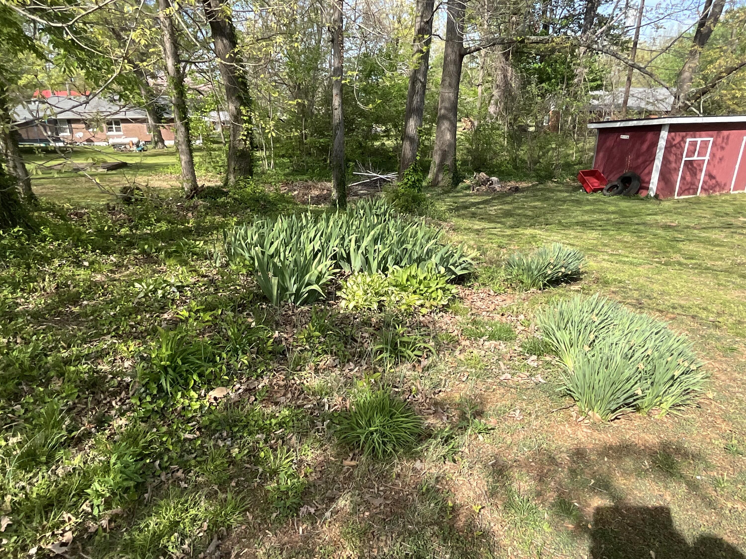 110 Cherry Lane Property Photo 61