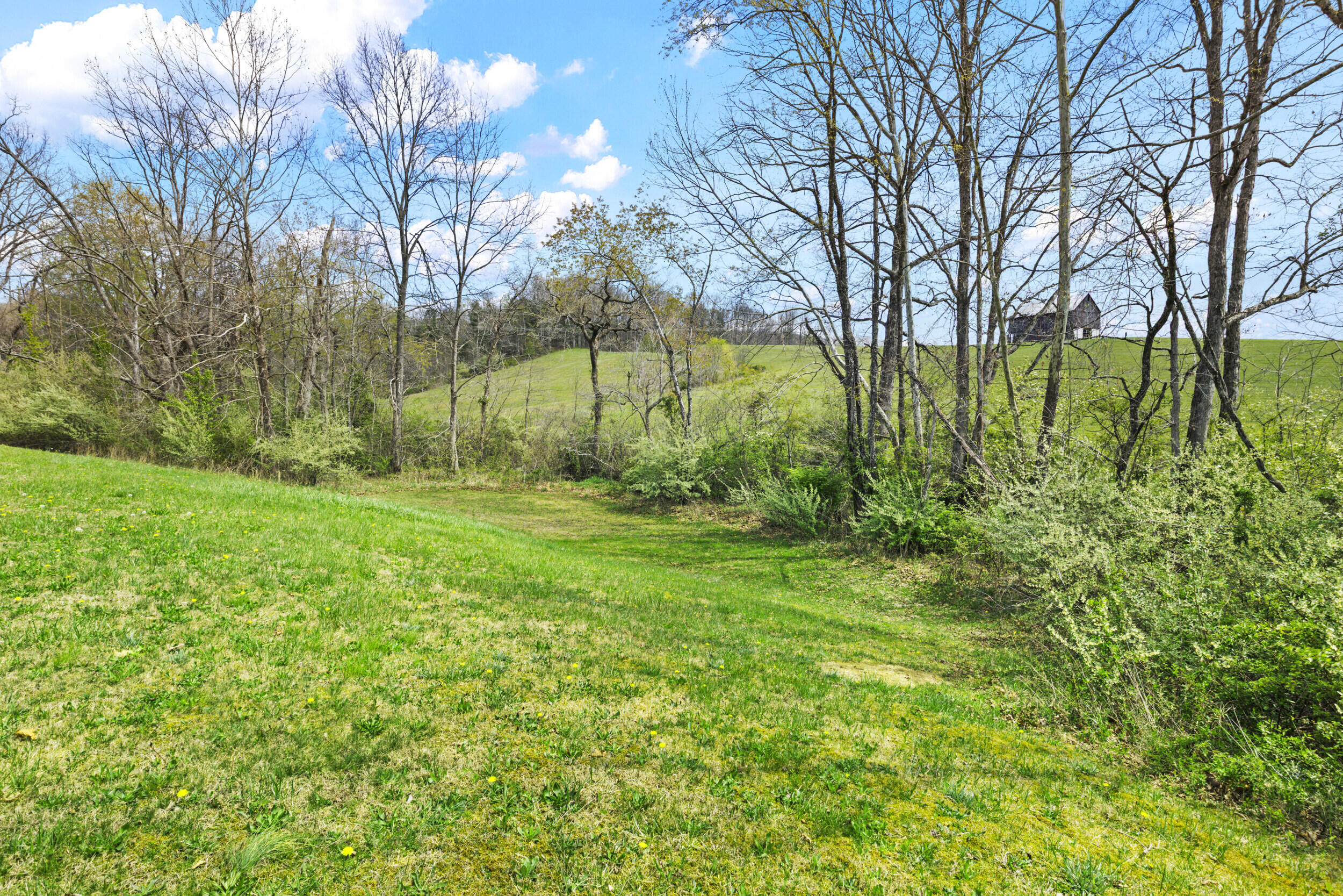 80 Fox Run Road Property Photo 37