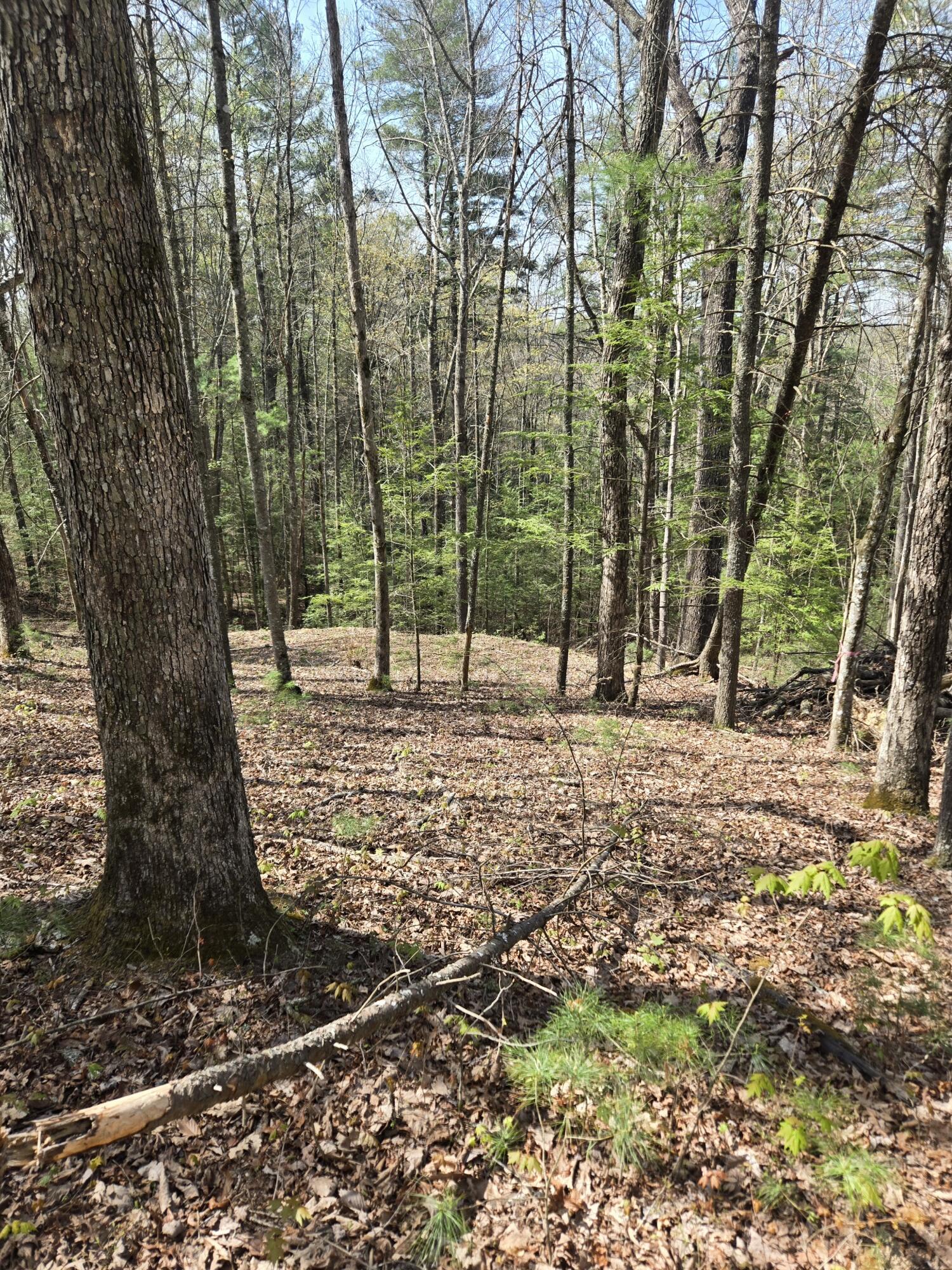 999 Victory Falls Lot 11 Property Photo 1