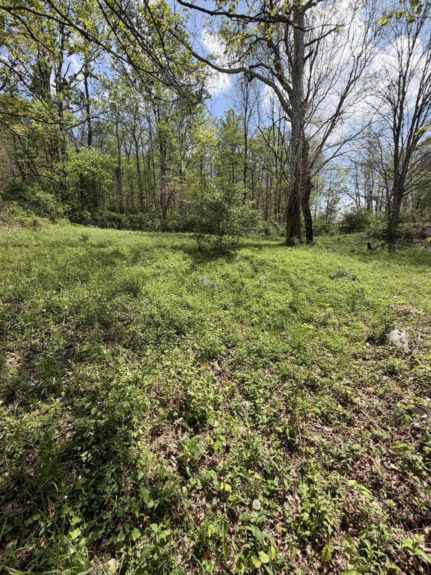 15 Old Us Hwy 25 Property Photo 5