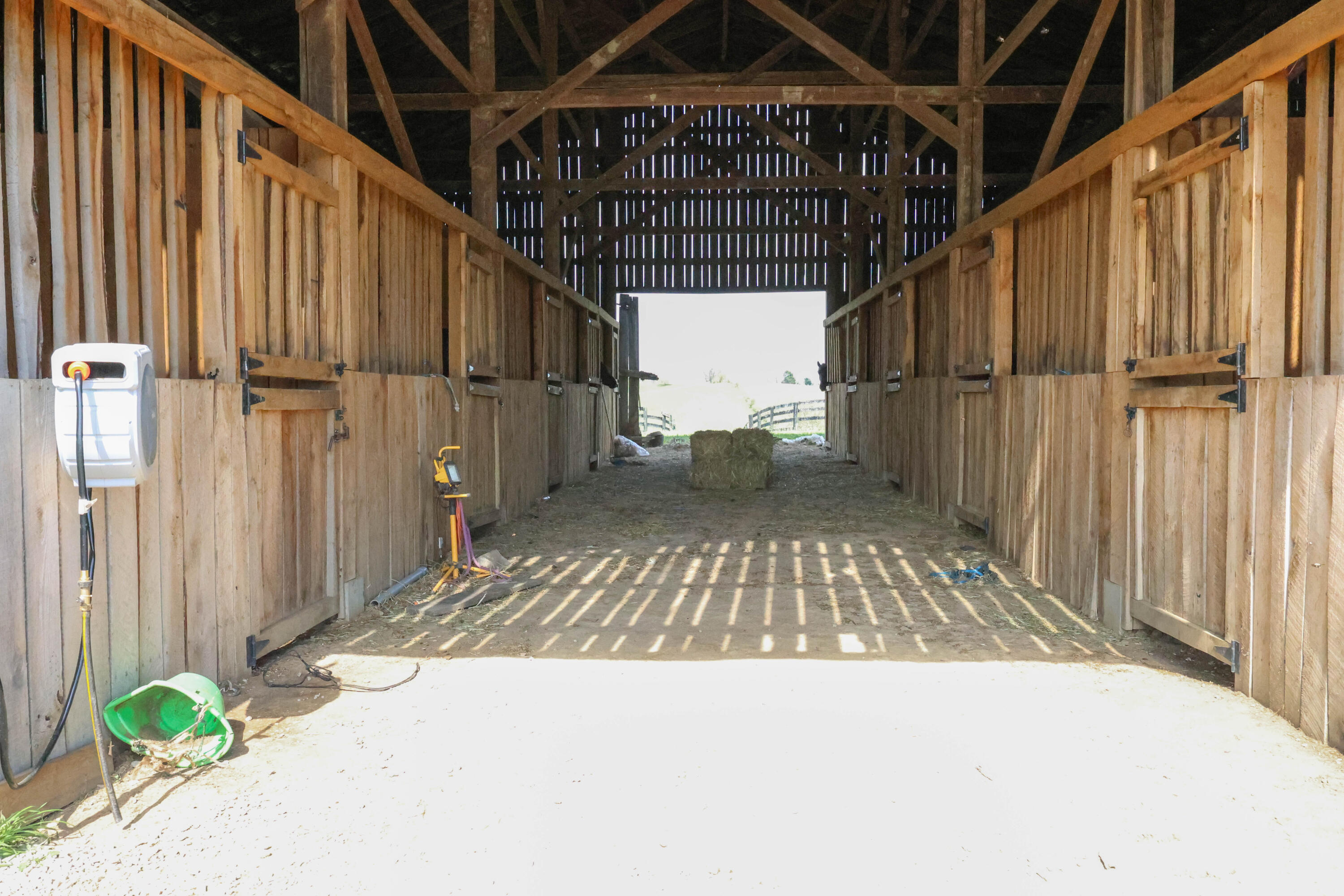 3386 Cane Ridge Road Property Photo 14