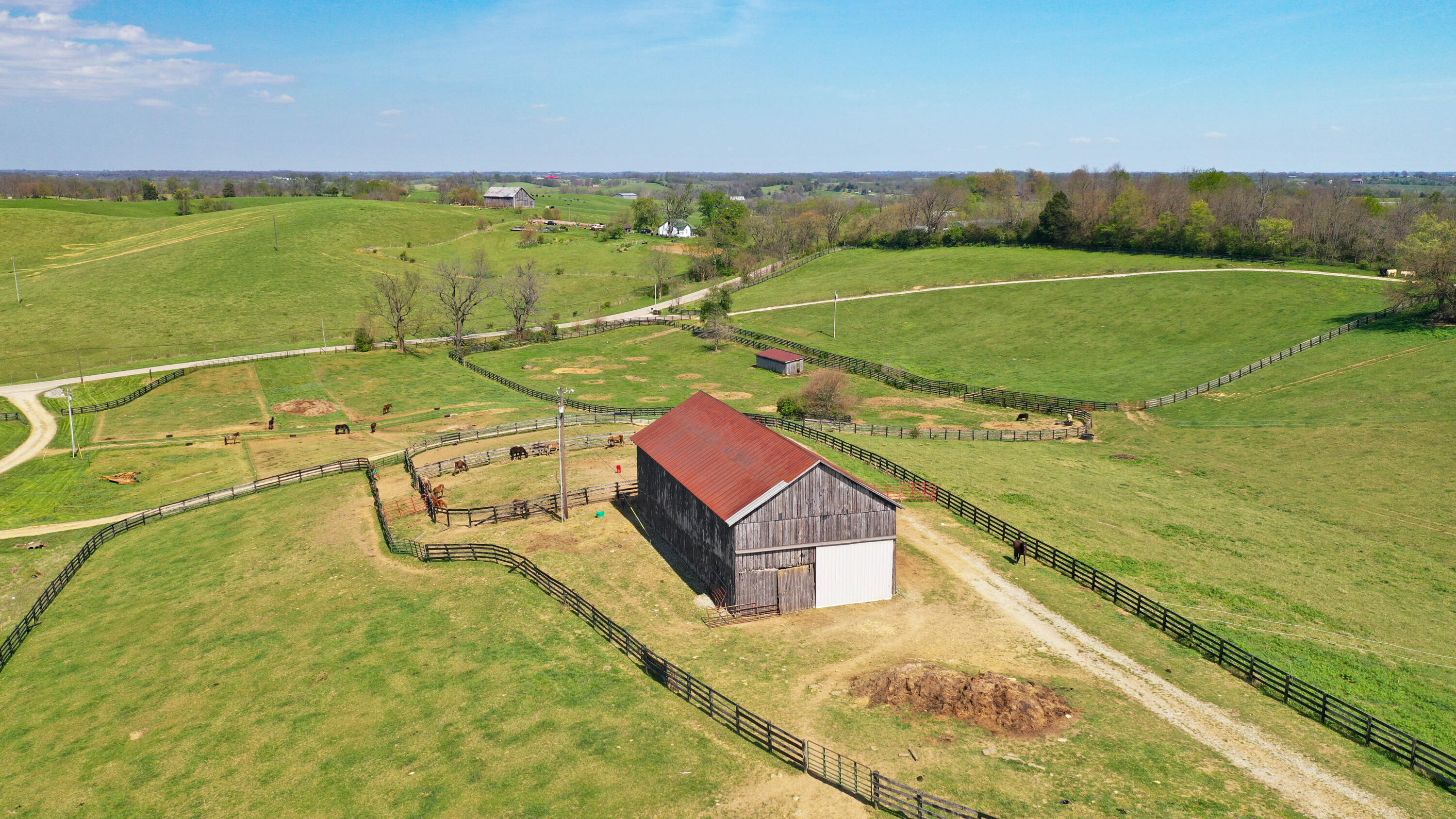 3386 Cane Ridge Road Property Photo 15