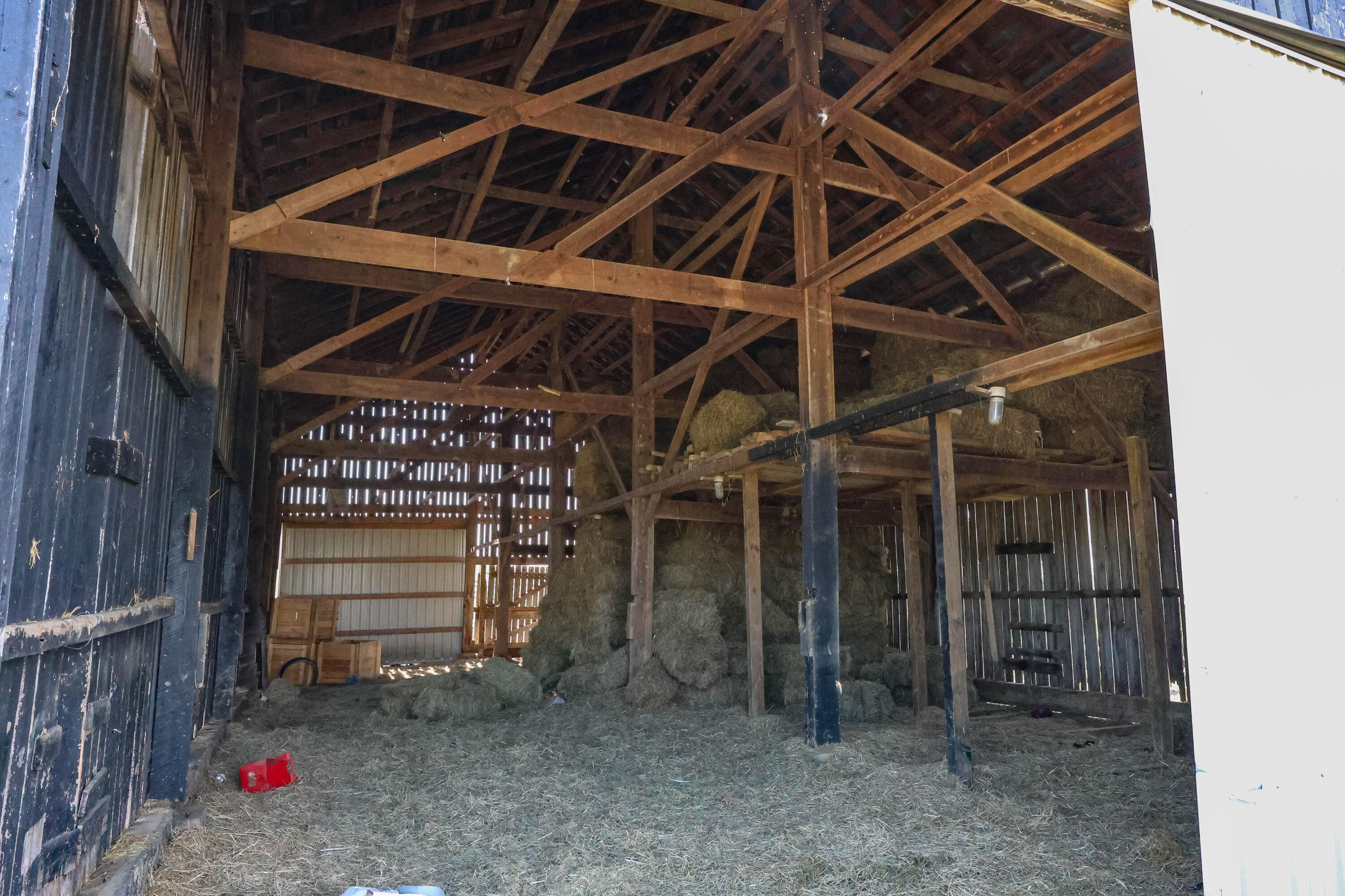 3386 Cane Ridge Road Property Photo 17