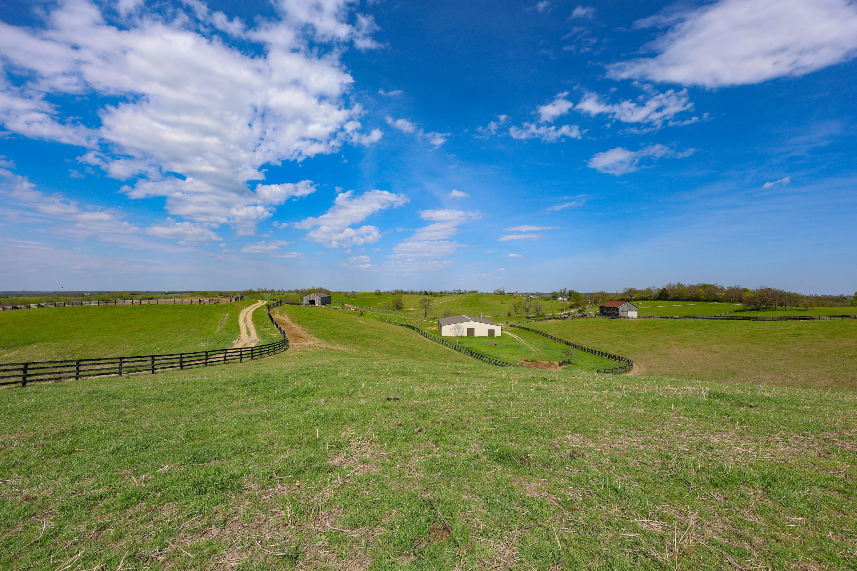 3386 Cane Ridge Road Property Photo 19