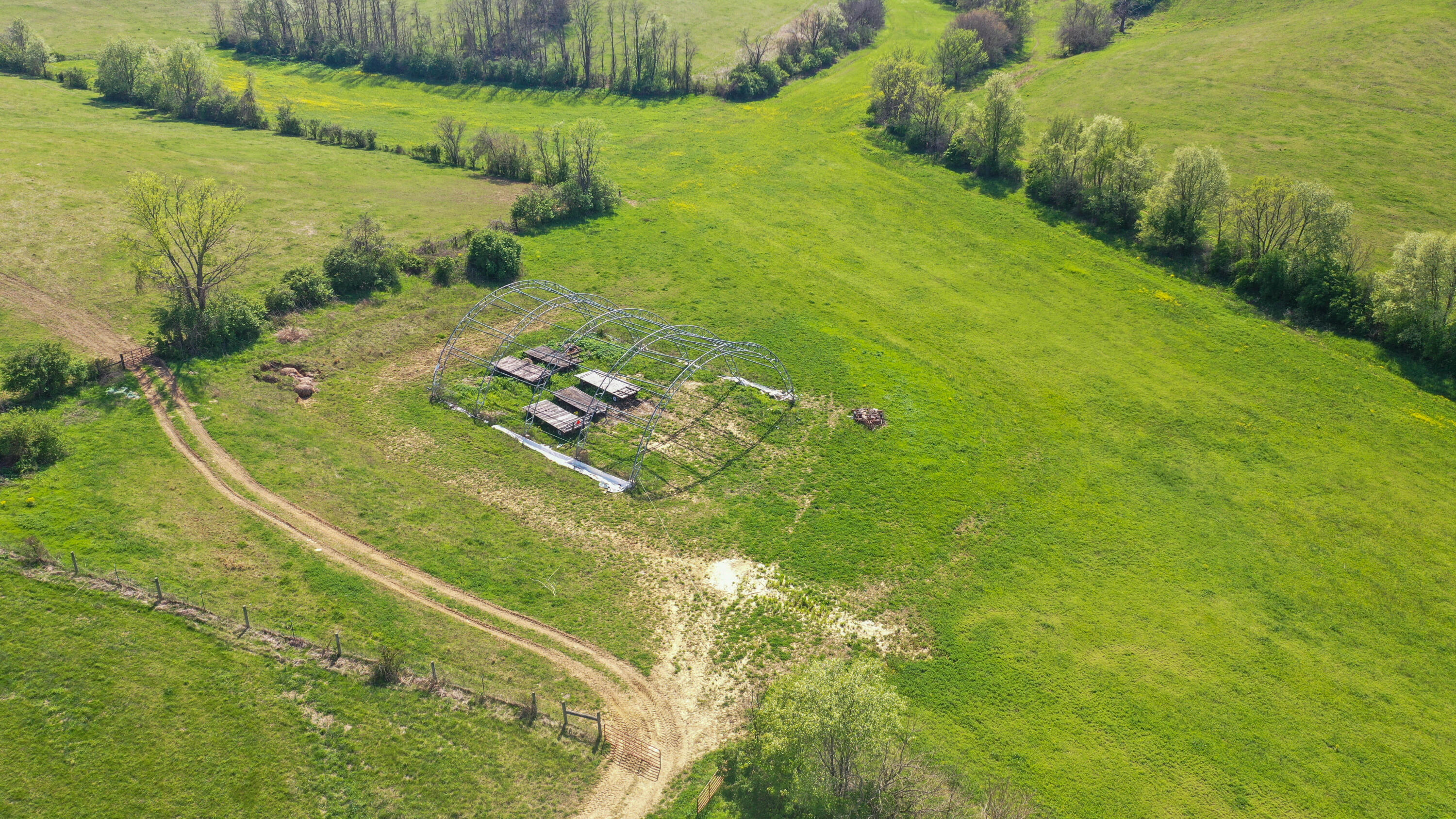 3386 Cane Ridge Road Property Photo 20