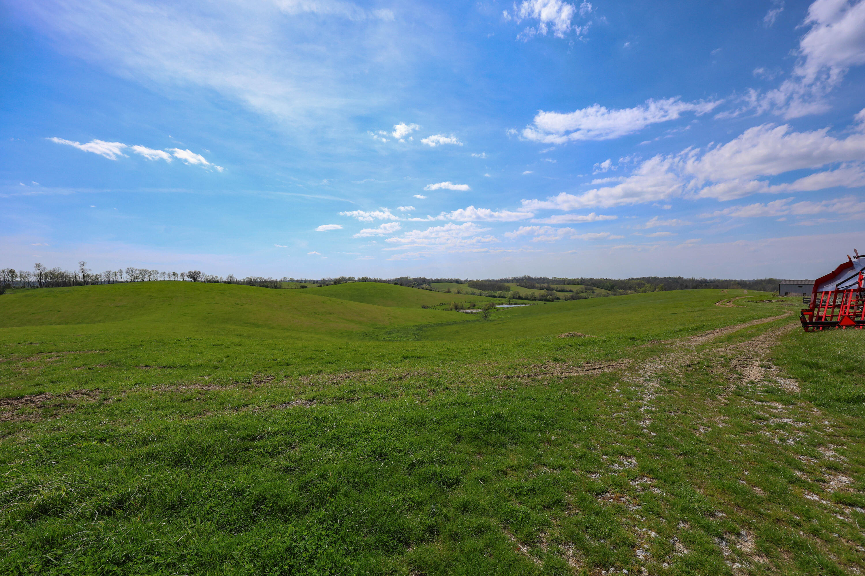 3386 Cane Ridge Road Property Photo 21