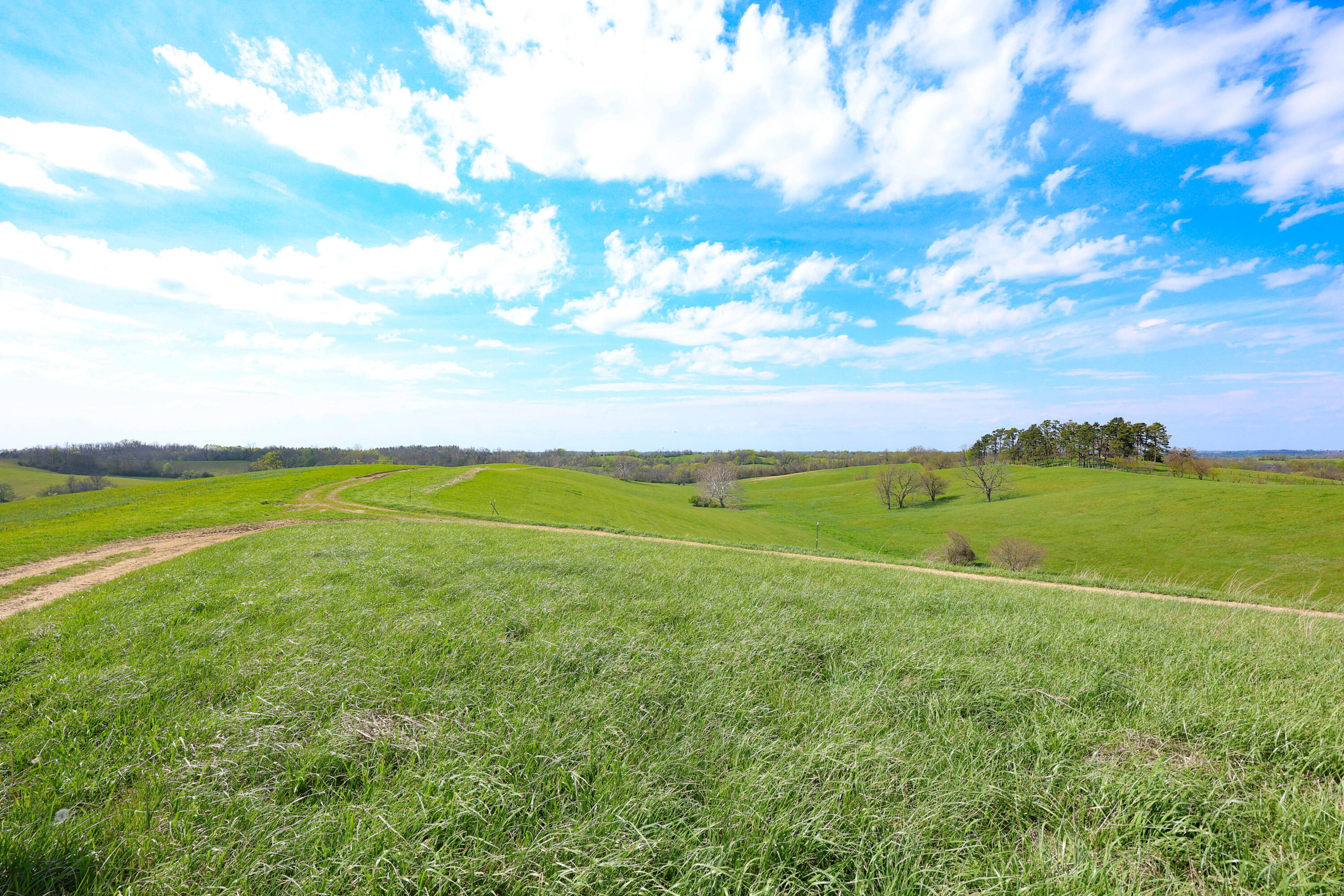 3386 Cane Ridge Road Property Photo 22