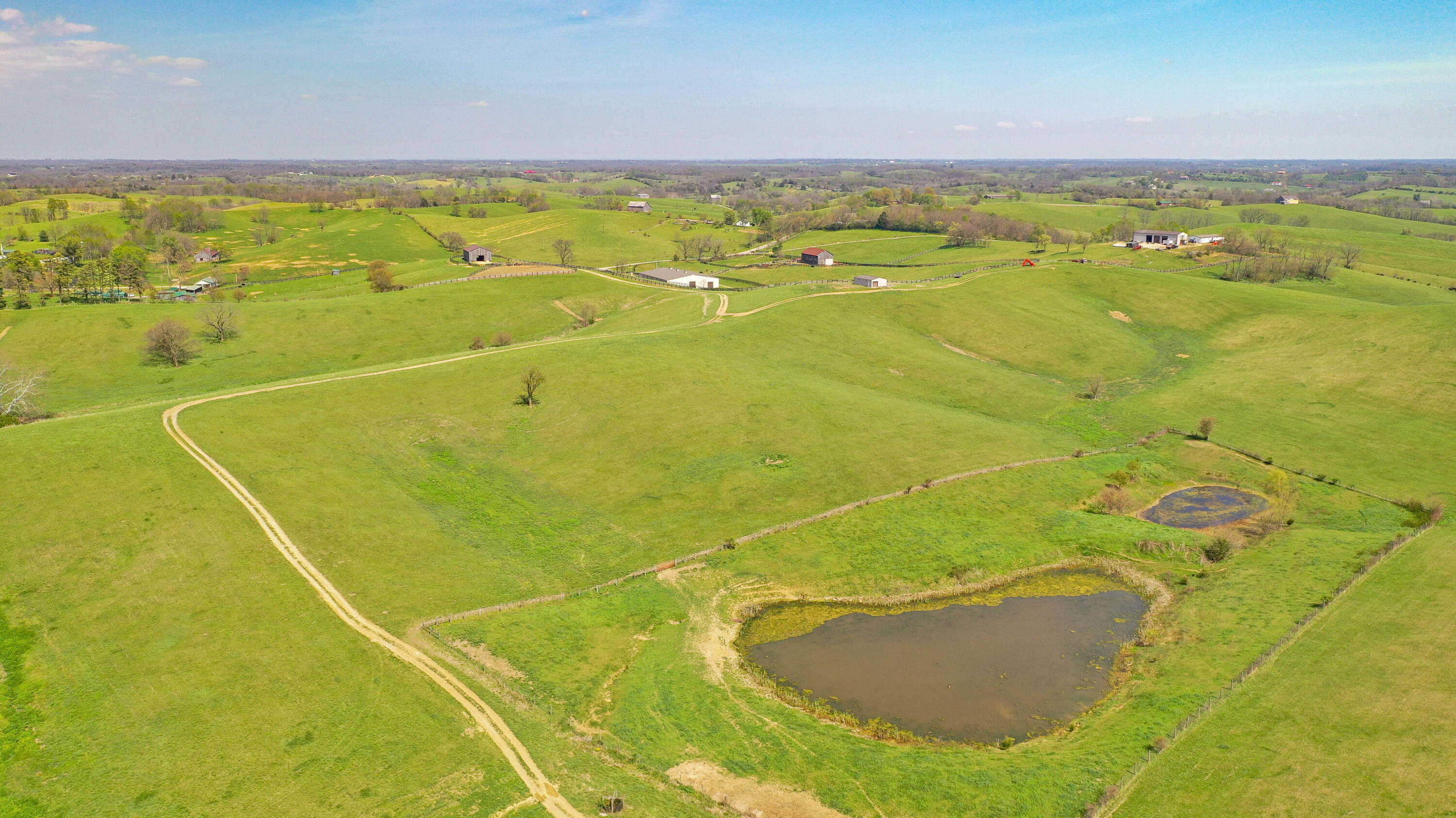 3386 Cane Ridge Road Property Photo 25