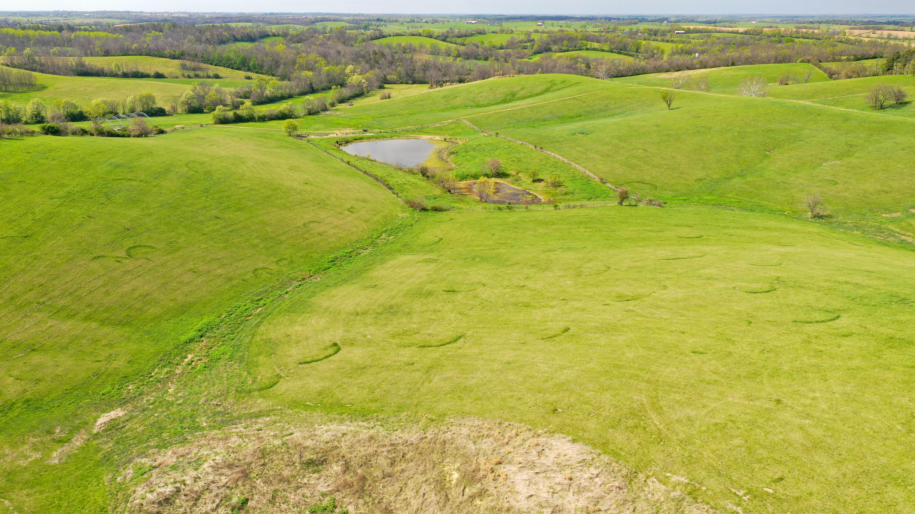 3386 Cane Ridge Road Property Photo 29