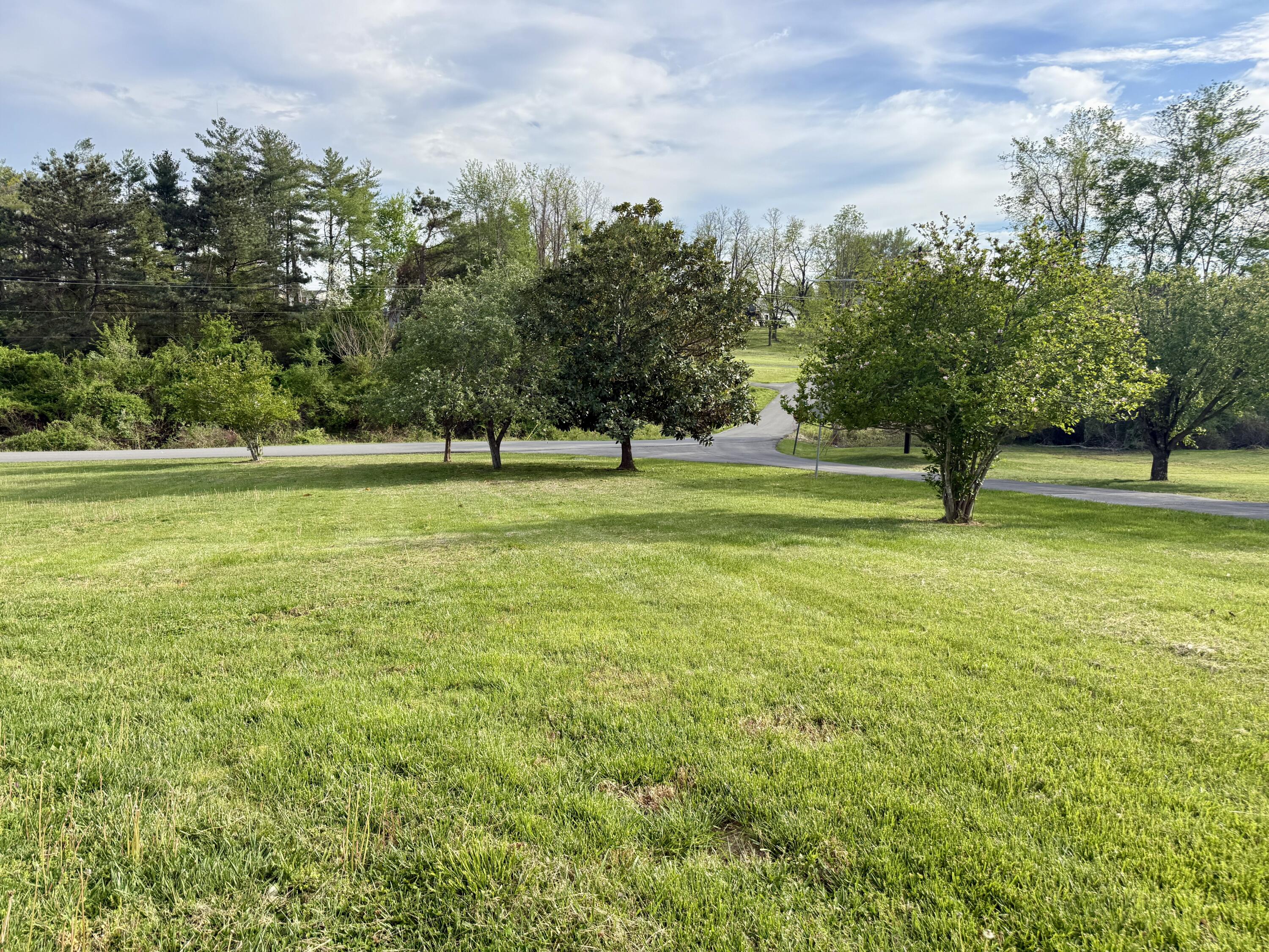 32 Ricky Lane Property Photo 7