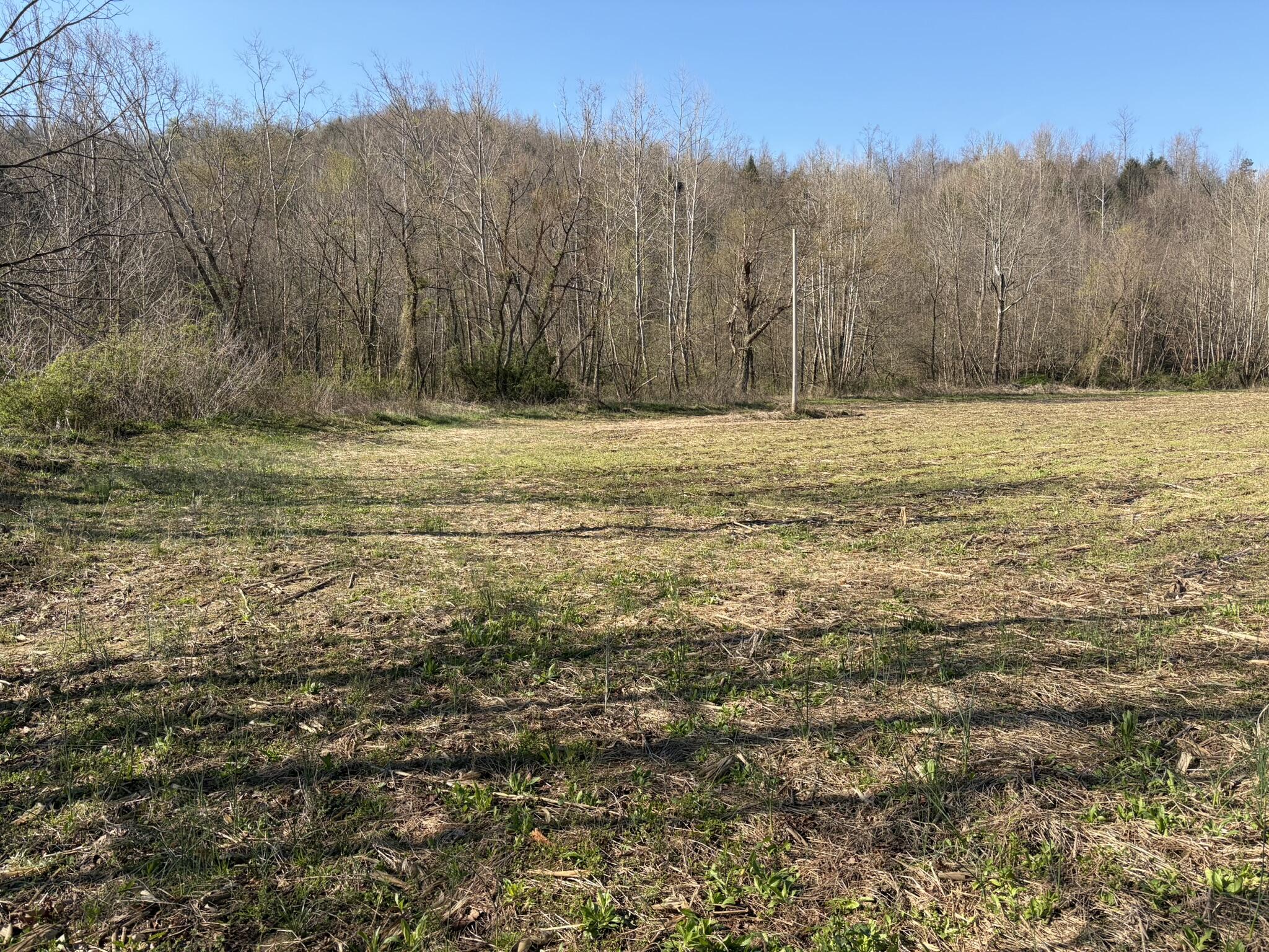 1025 State Highway 589 Property Photo 1