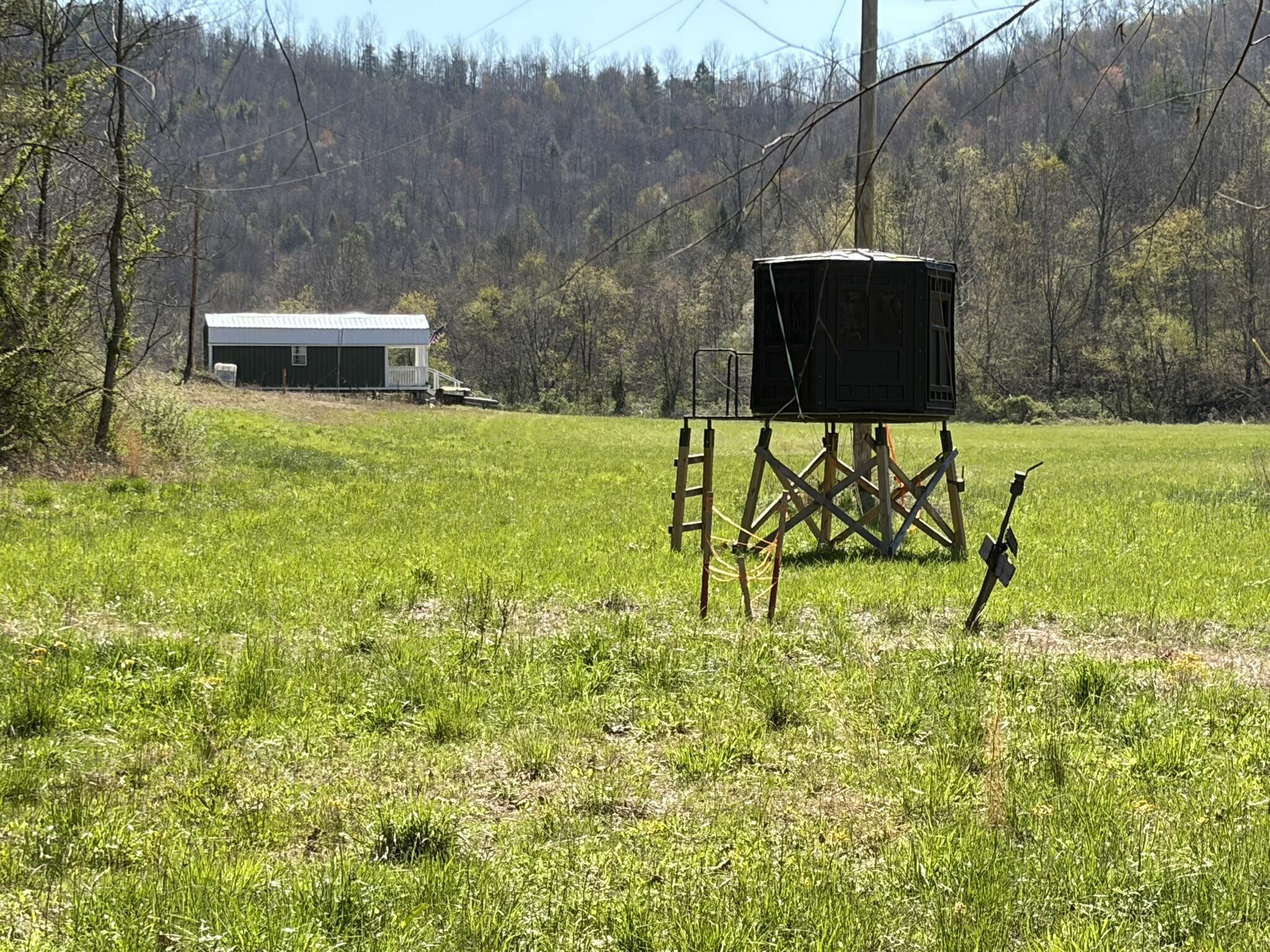 1025 State Highway 589 Property Photo 6