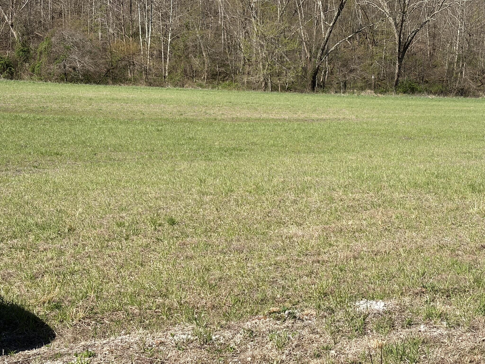 1025 State Highway 589 Property Photo 13