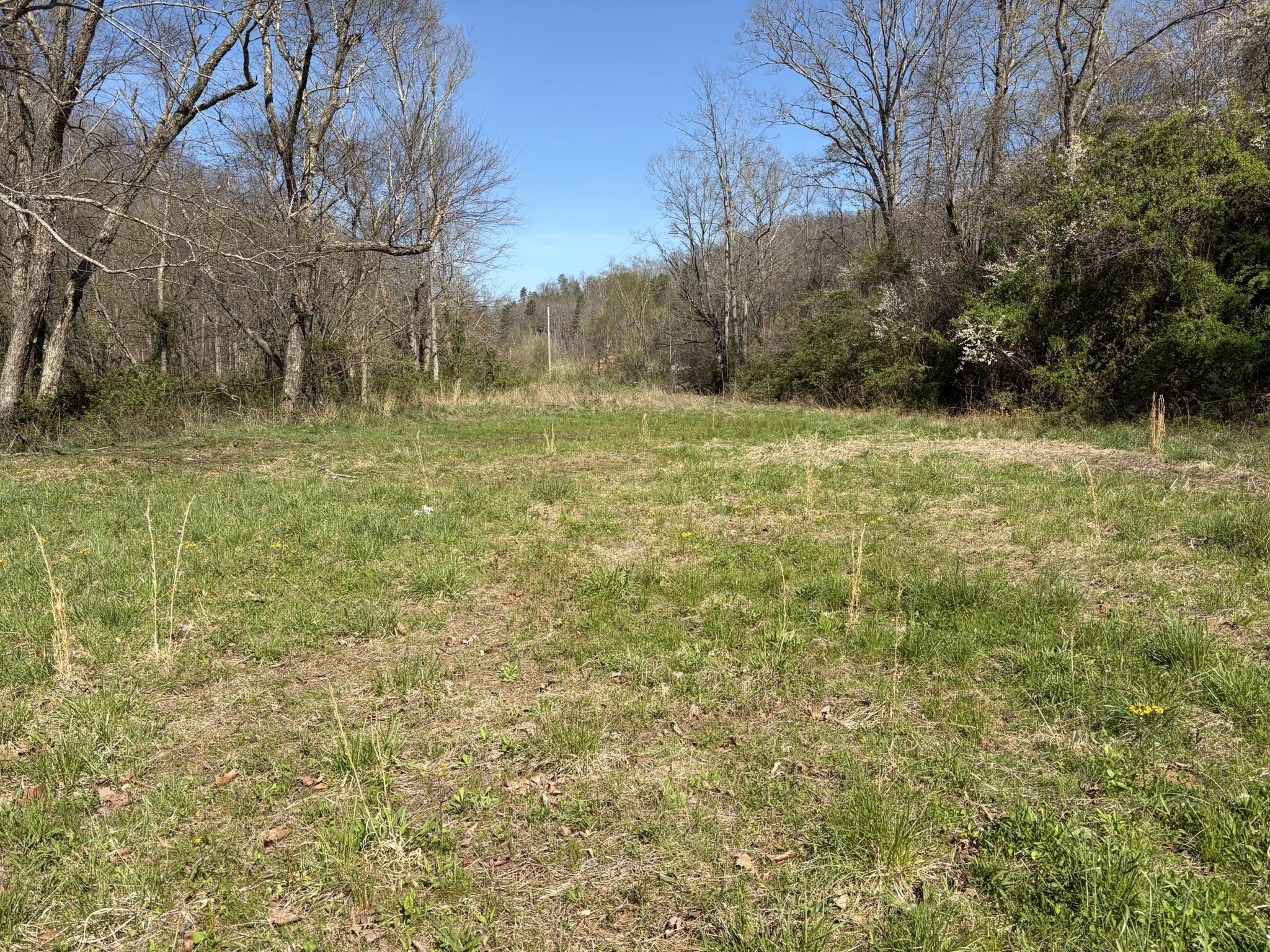 1025 State Highway 589 Property Photo 14