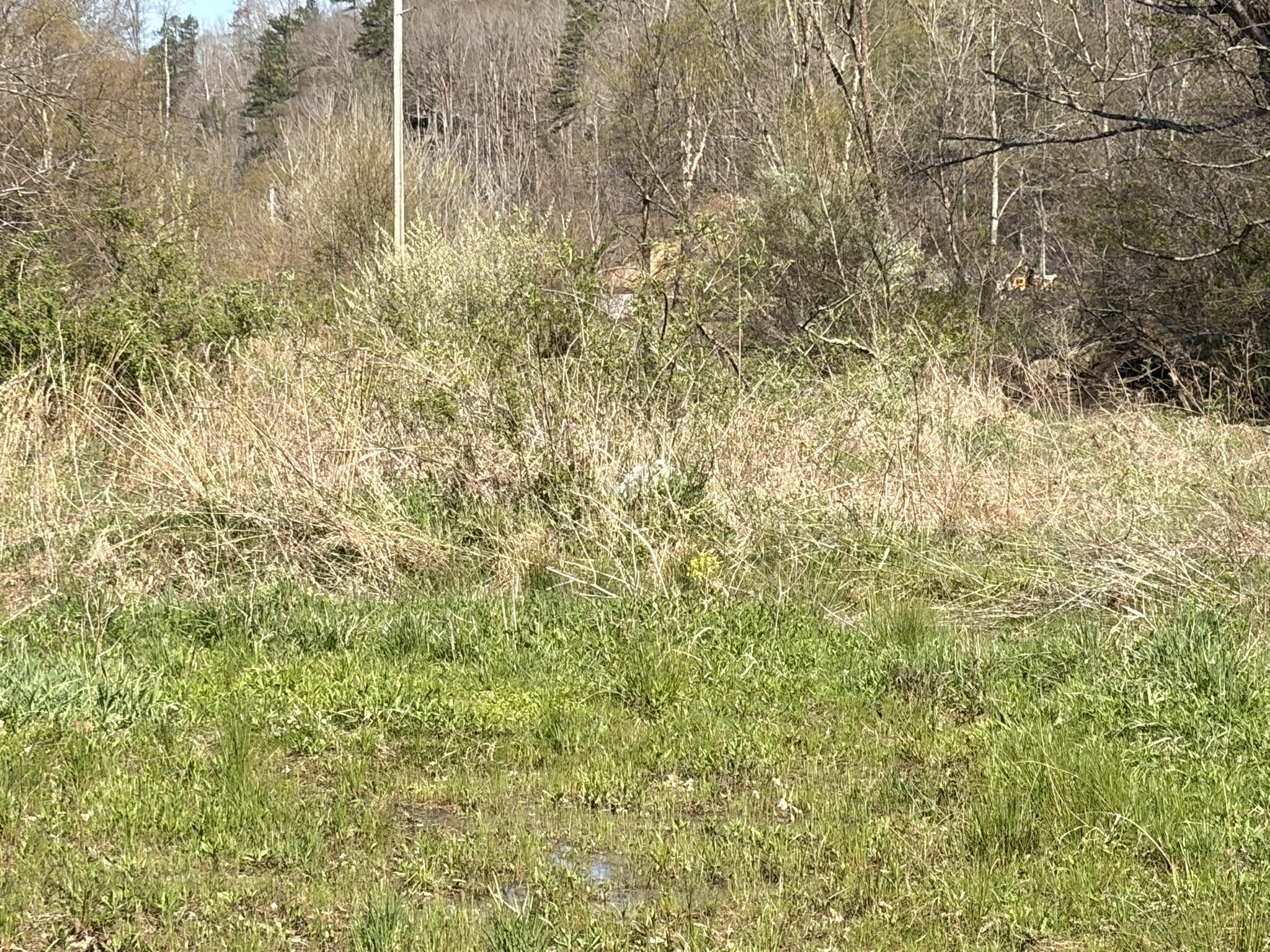 1025 State Highway 589 Property Photo 15